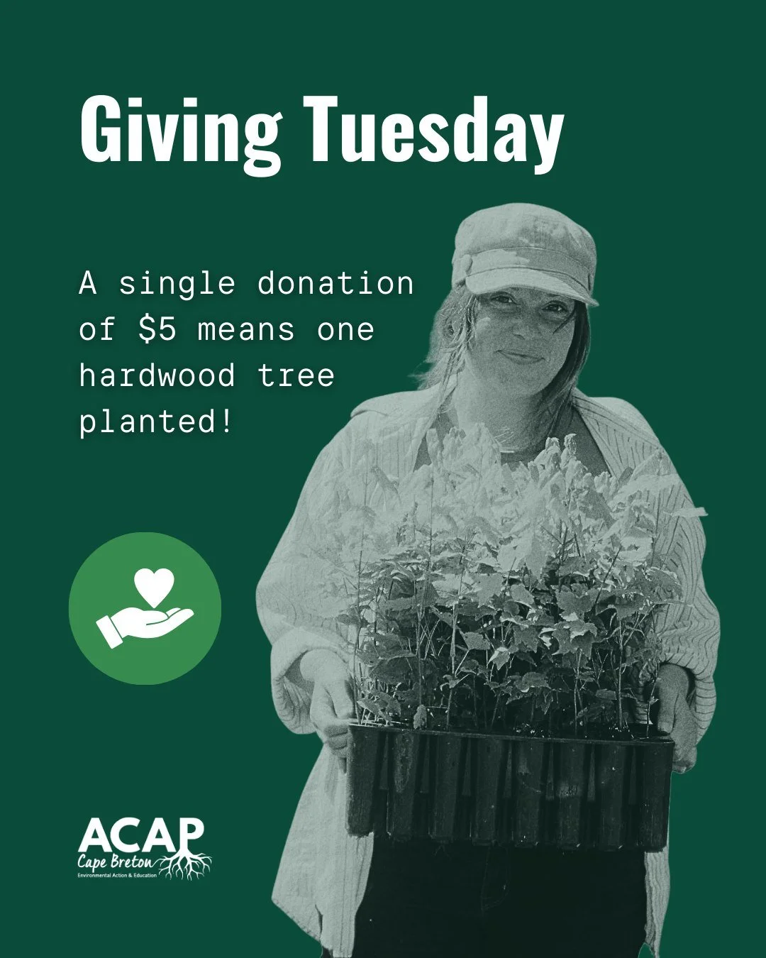 This Giving Tuesday, we&rsquo;re asking for your support to help reach our goal of sponsoring 500 trees by the end of this year. 🌱🌳

Let's shift our focus from consumerism to generosity this holiday season by giving back to our planet. 💚

Here&rsq