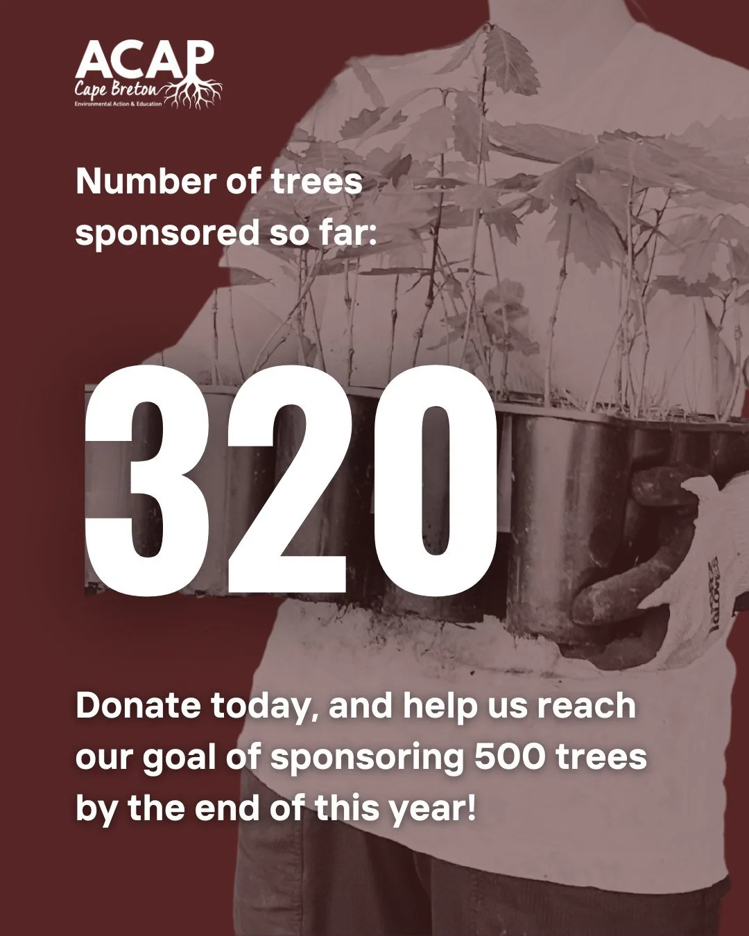 Can we count on your support to help us reach our goal of 500 sponsored trees by the end of this year? 

Your generosity has already made a real impact&mdash;because of you, we have 320 hardwood trees sponsored through our Adopt a Forest program, and