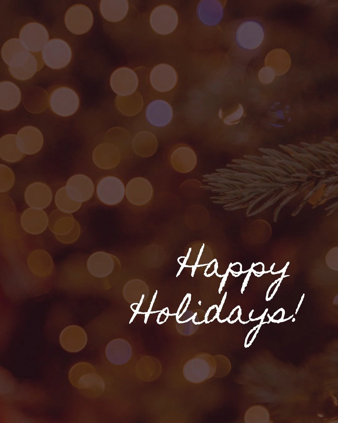 As 2025 draws to a close, we are reflecting on all of the work that has been accomplished by our team, the many wonderful community members we&rsquo;ve had the privilege to work alongside, and all of the new faces we&rsquo;ve been lucky enough to mee