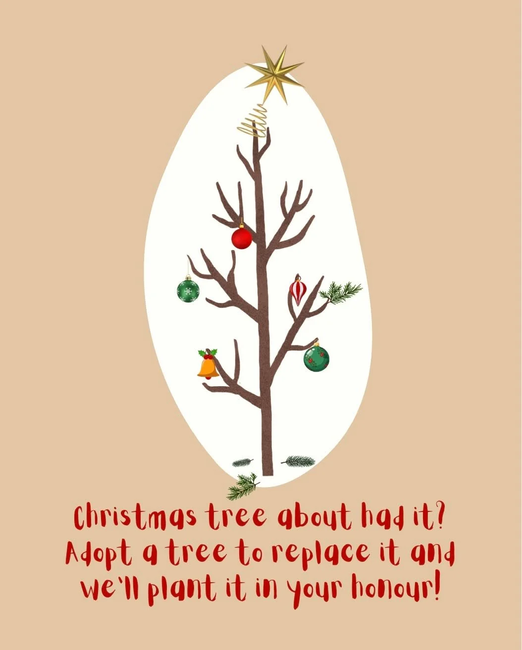 Christmas tree about had it? Adopt a tree to replace it and we'll plant it in your honour! 🎄🌱

A single donation of $5 will cover the cost of one hardwood tree planted in a habitat restoration project 💚

Adopt a tree at the following link https://