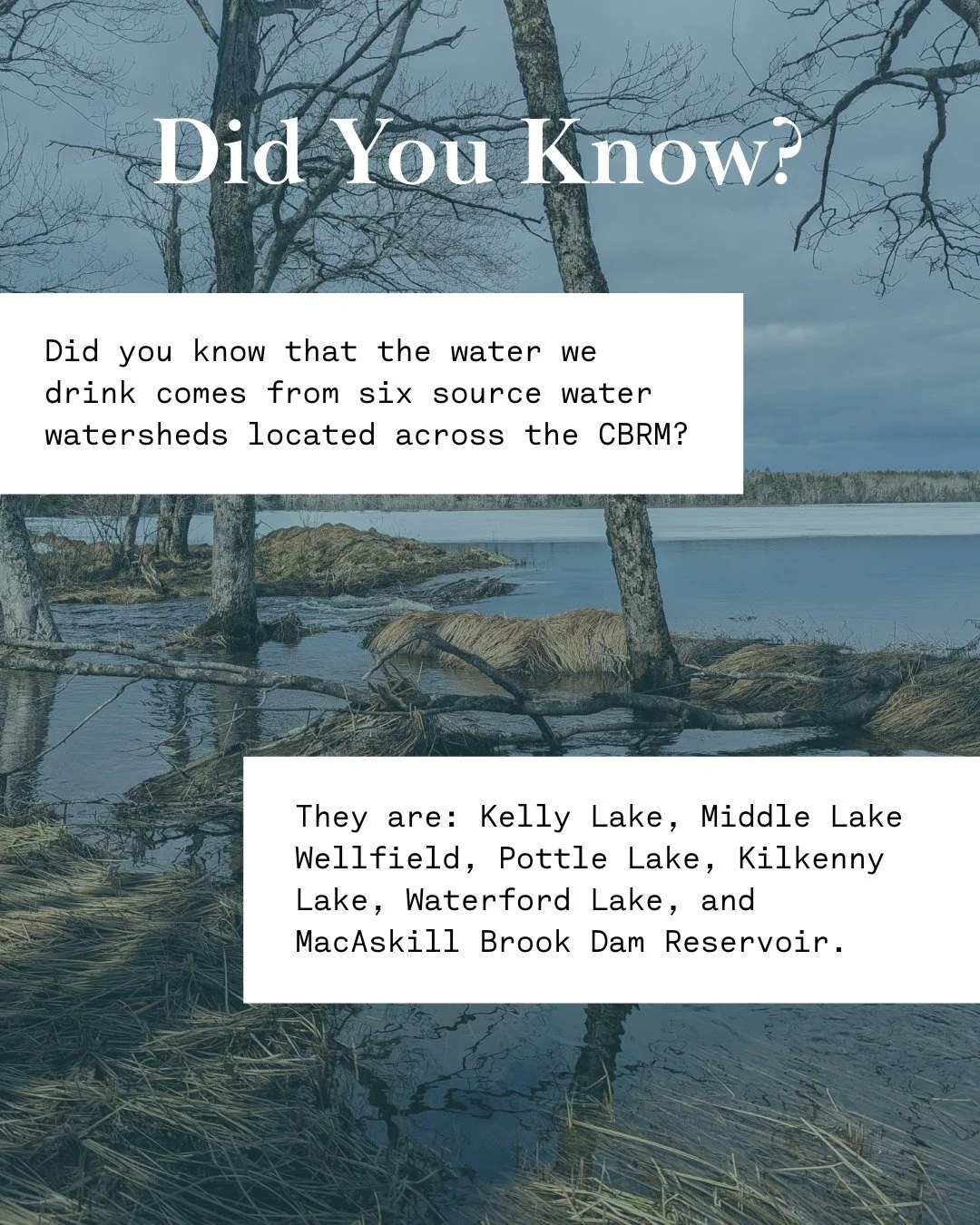 Did you know that the water we drink comes from six source water watersheds located across the CBRM? 🧐

They are: Kelly Lake, Middle Lake Wellfield, Pottle Lake, Kilkenny Lake, Waterford Lake, and MacAskill Brook Dam Reservoir.

Our team at ACAP Cap