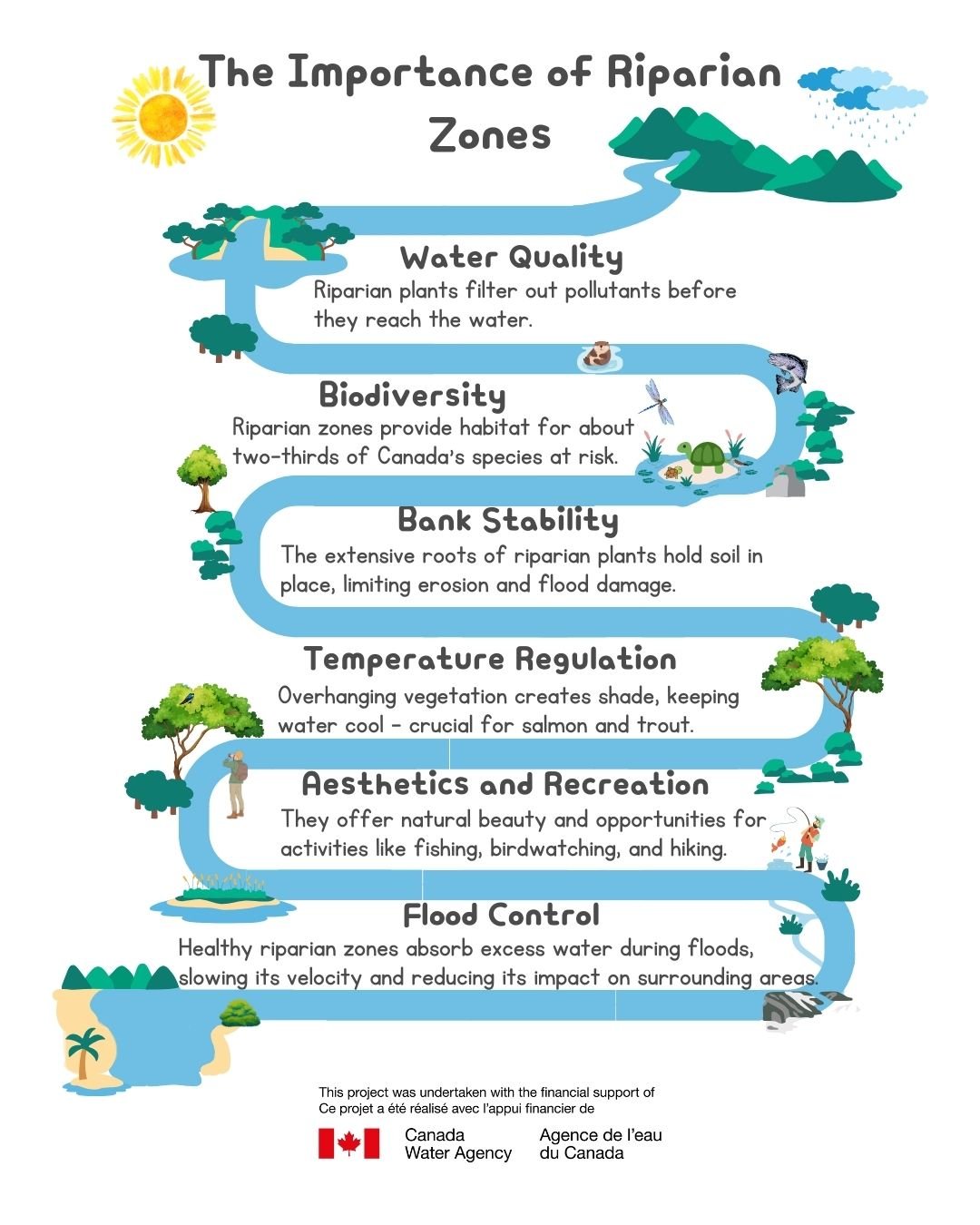 A healthy riparian zone performs many key ecological functions - critical processes that sustain ecosystem health and services. These include:

* Holding stream banks in place with tree, shrub and herbaceous plant roots of varying depths
* Shading th