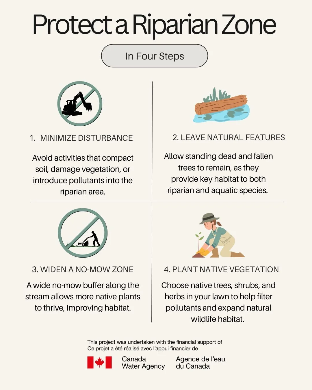 So you have a stream and riparian zone running across your property that are in pretty good shape, but you'd like to go that extra step to improve habitat for wildlife both in and out of the stream. What can you do? In a nutshell: do as Nature does.
