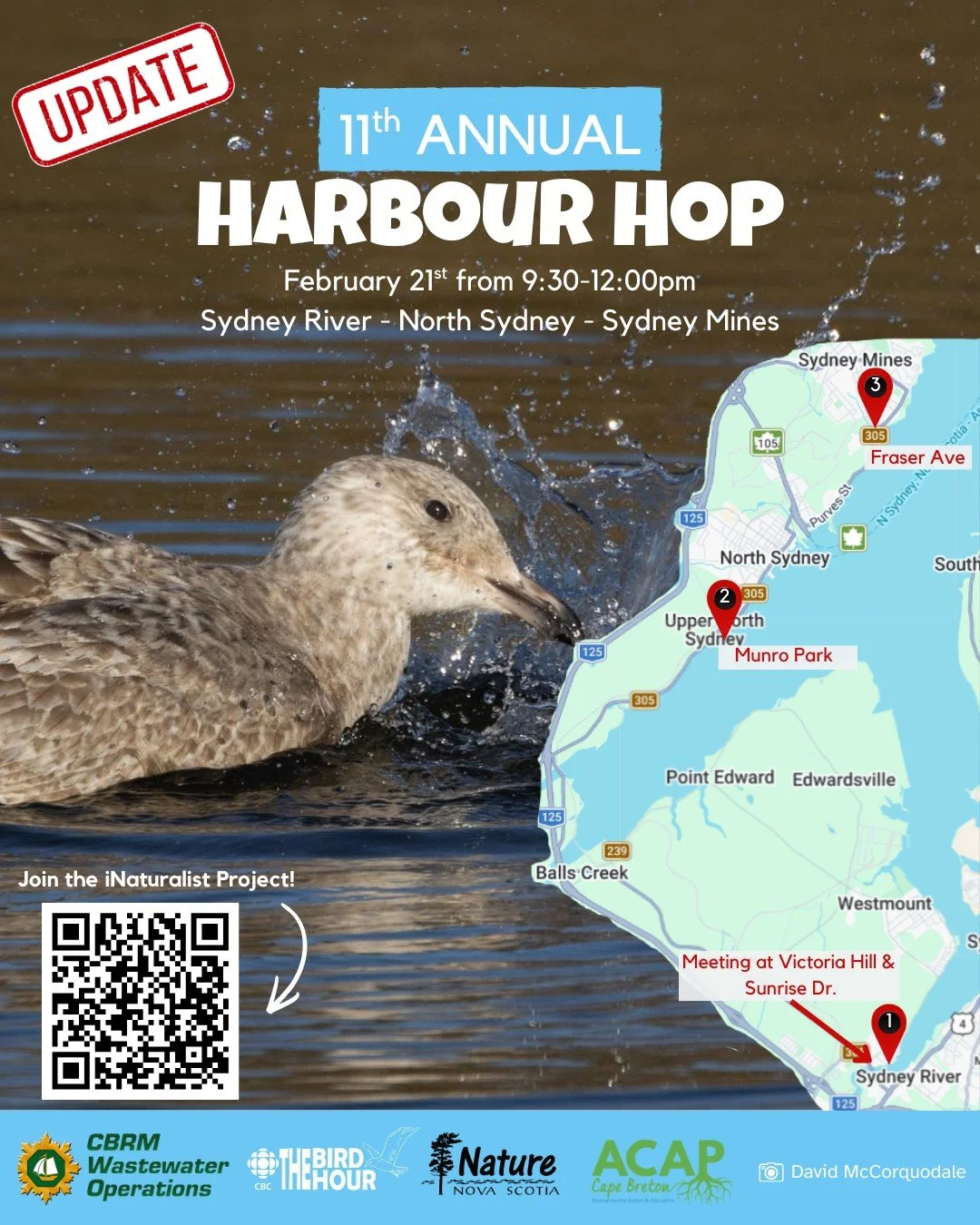 📍 Location Update: Sydney River &rarr; North Sydney &rarr; Sydney Mines

Join David McCorquodale and David Harris from The Bird Hour this Saturday, February 21, for ACAP&rsquo;s annual Harbour Hop! We will caravan from site to site, but feel free to