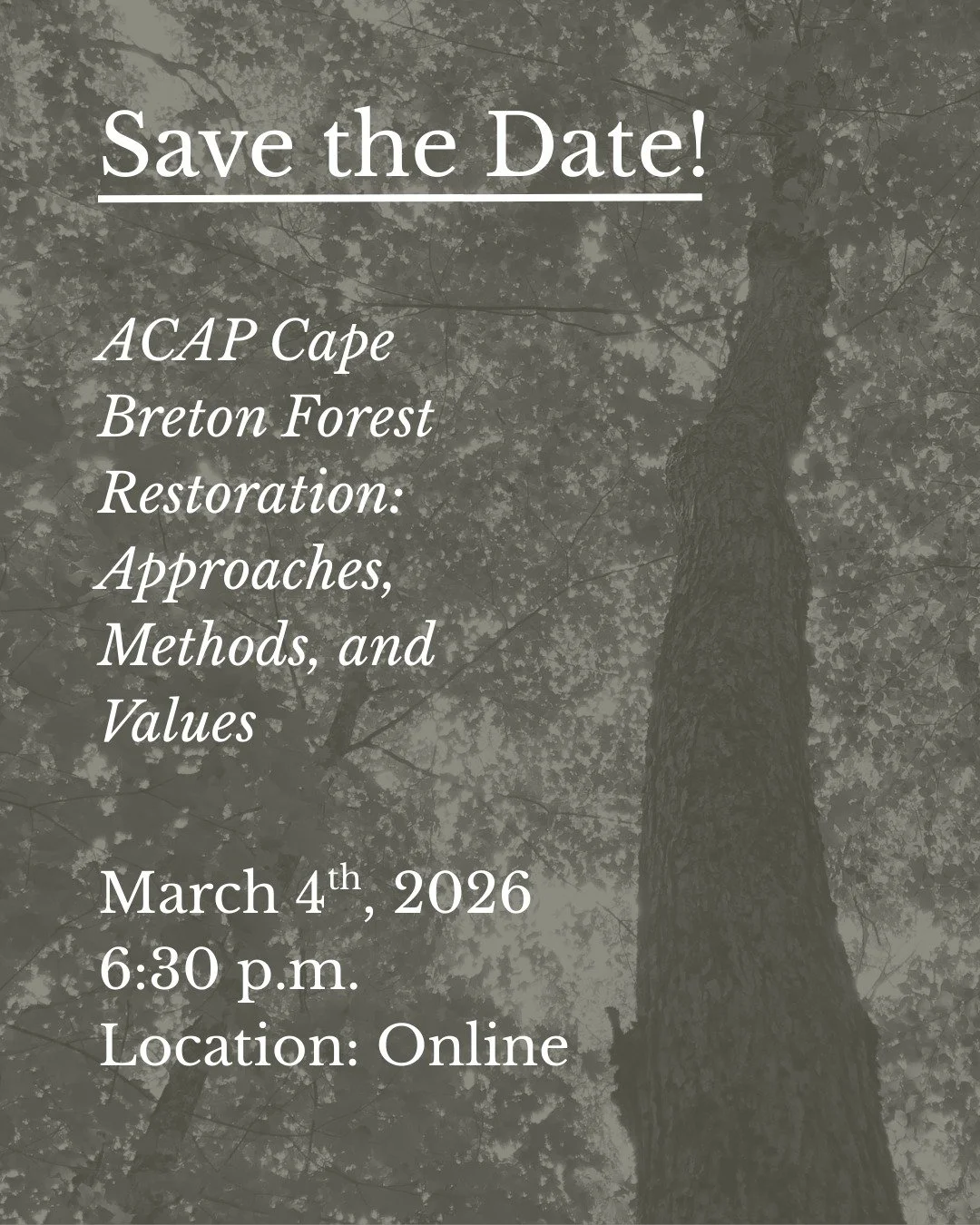Save the Date: Join us online for our Forest Restoration Webinar!

Date: March 4th, 2026
Time: 6:30 p.m.
Location: Online

Curious about ACAP Cape Breton's commitment to reforesting the Wabanaki/Acadian landscape across Unama'ki? 

We will be providi