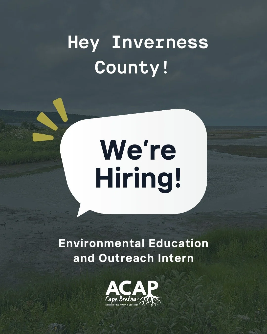 Hey Inverness County - We're Hiring! 👋

Do you enjoy science communication, environmental and outdoor education, and working with kids? Join our environmental education team! We are hiring two environmental education summer interns in Inverness coun