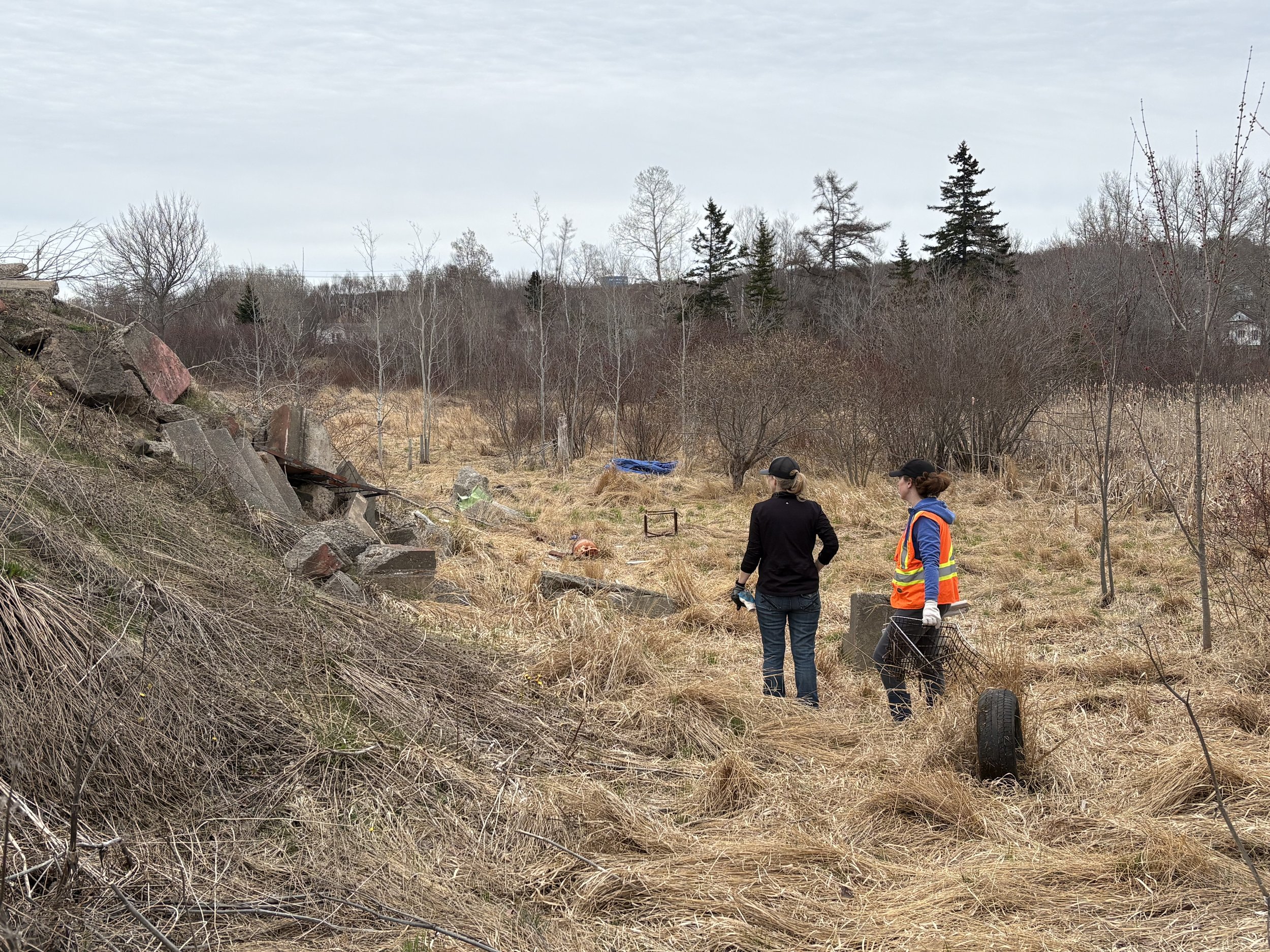 Wetland 4 garbage clean up with Riparian Zone Ready: Sydney. May, 2026