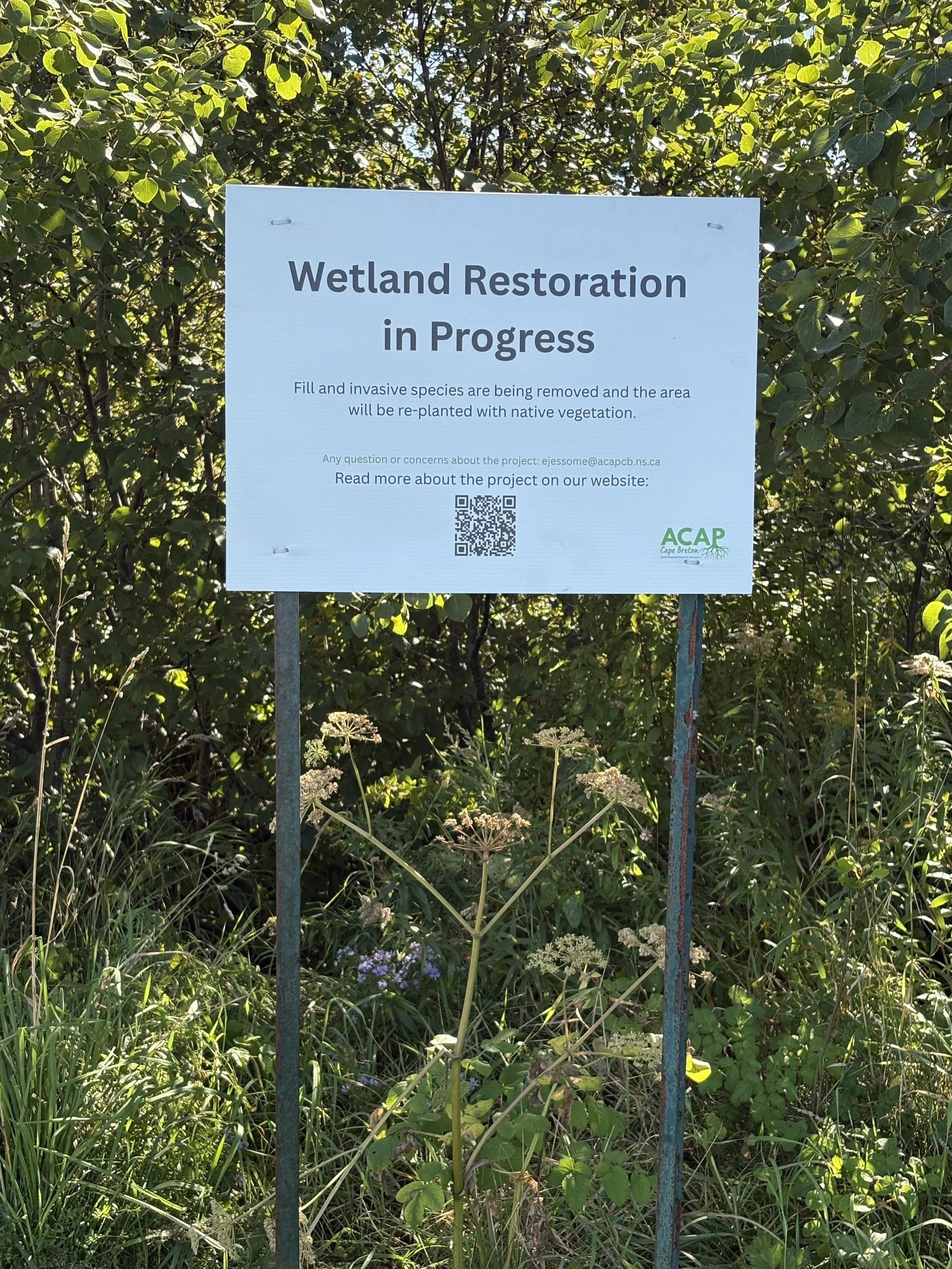 Large-scale restoration begins. September 2026. 