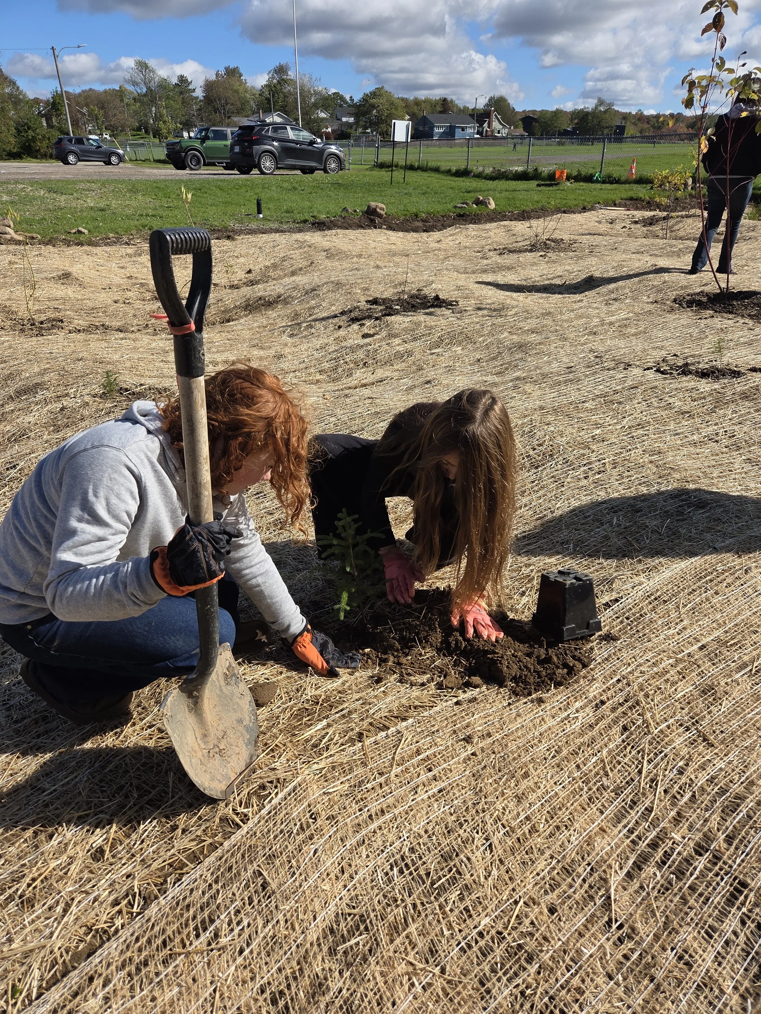 Brookland Elementary Grade 5 students planting Site 2. October, 2026.