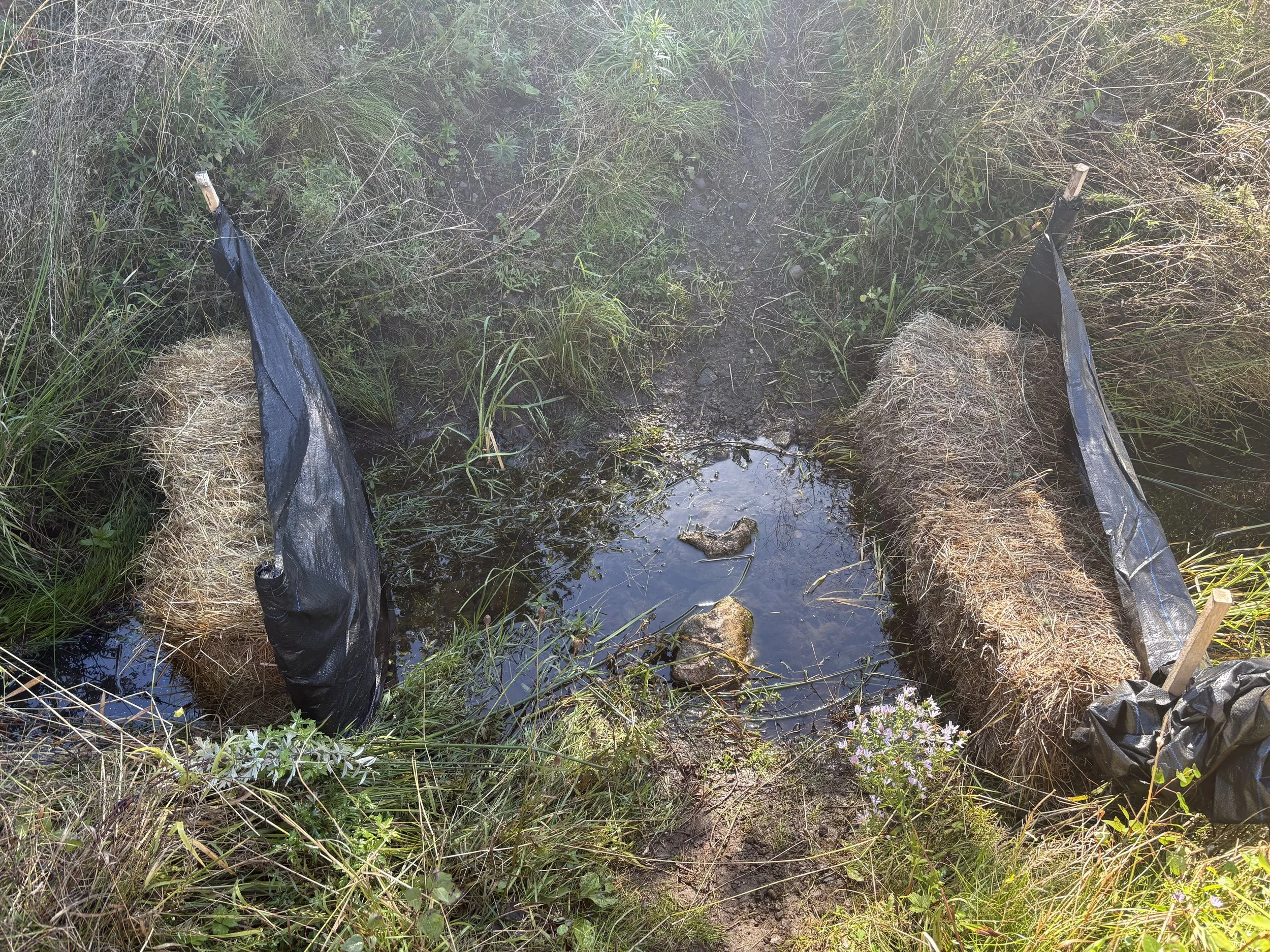 Sediment control installed prior to machinery intervention in the ditch. 