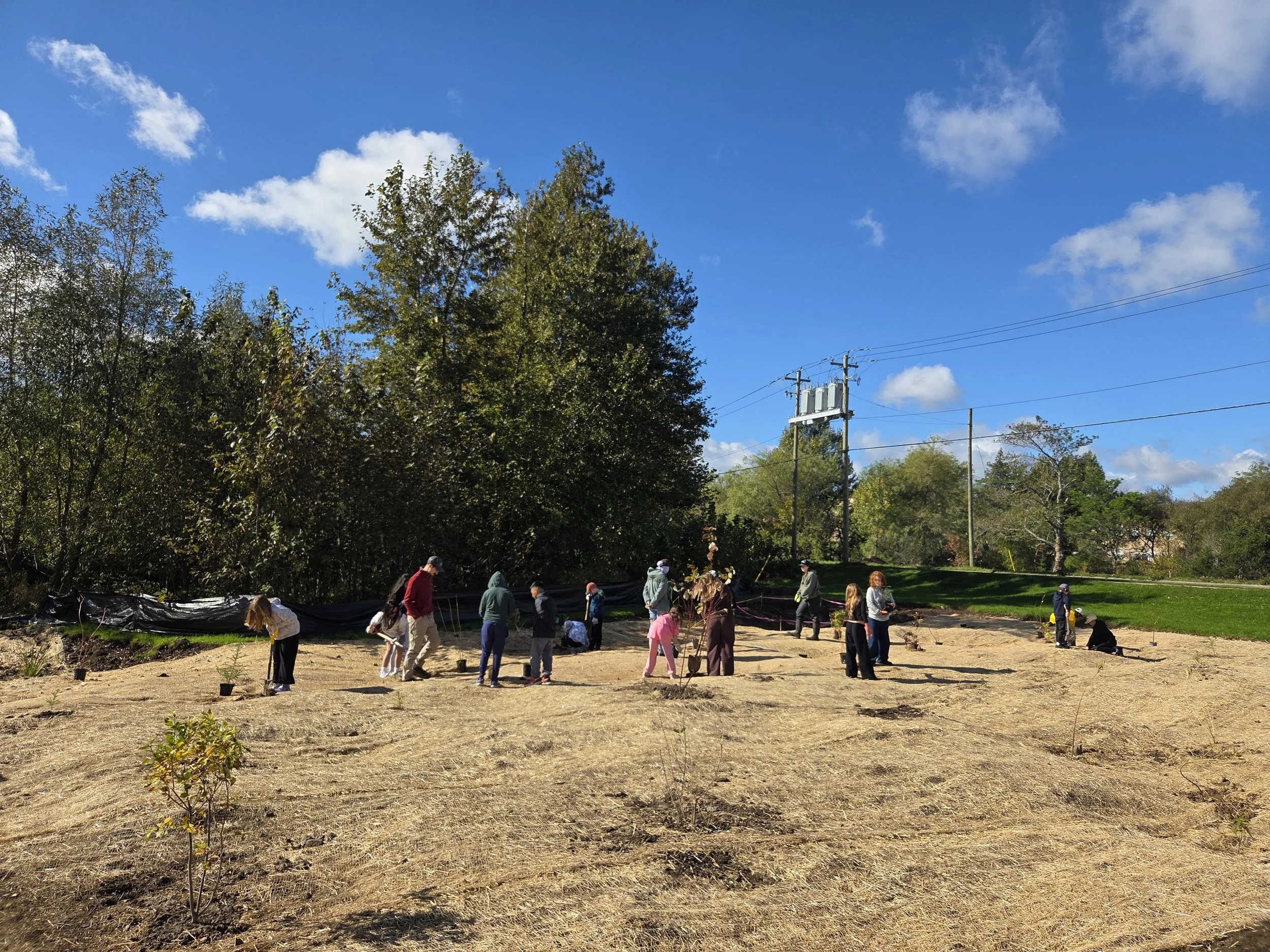 Brookland Elementary Grade 5 students planting Site 2. October, 2026.