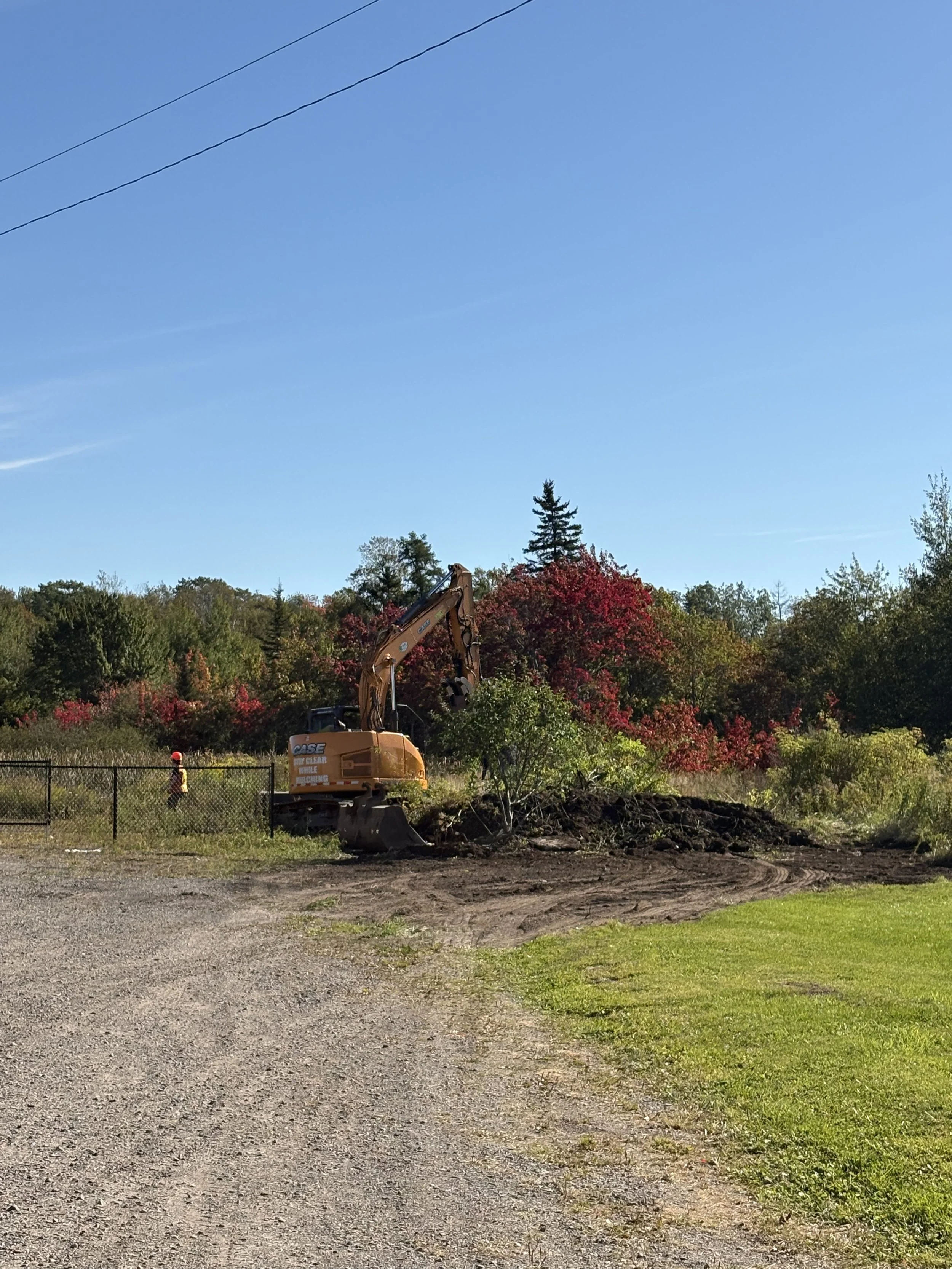 Large-scale invasive species removal at Site 5. September, 2026. 
