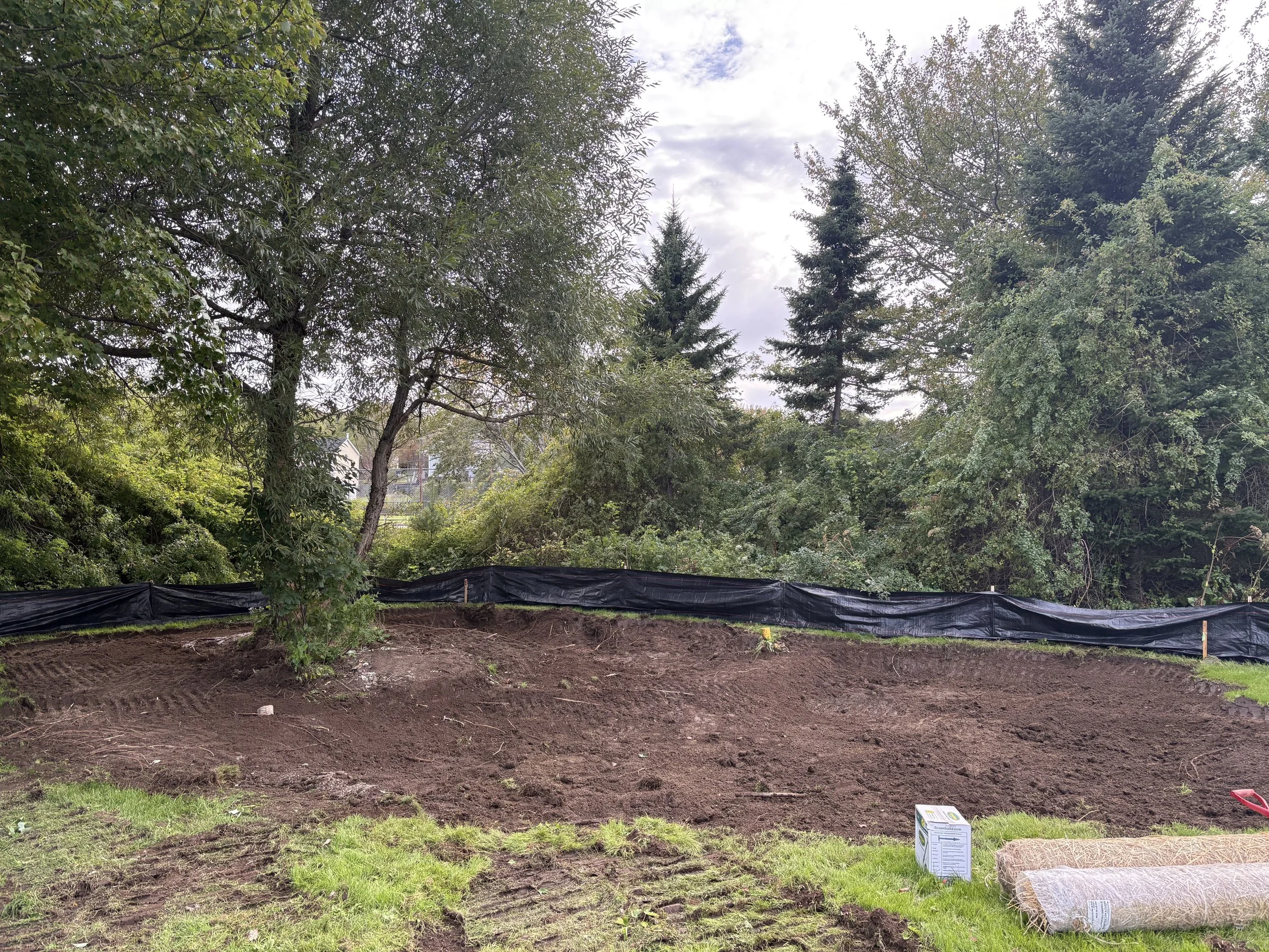 Sod removal at Site 2. September, 2026. 