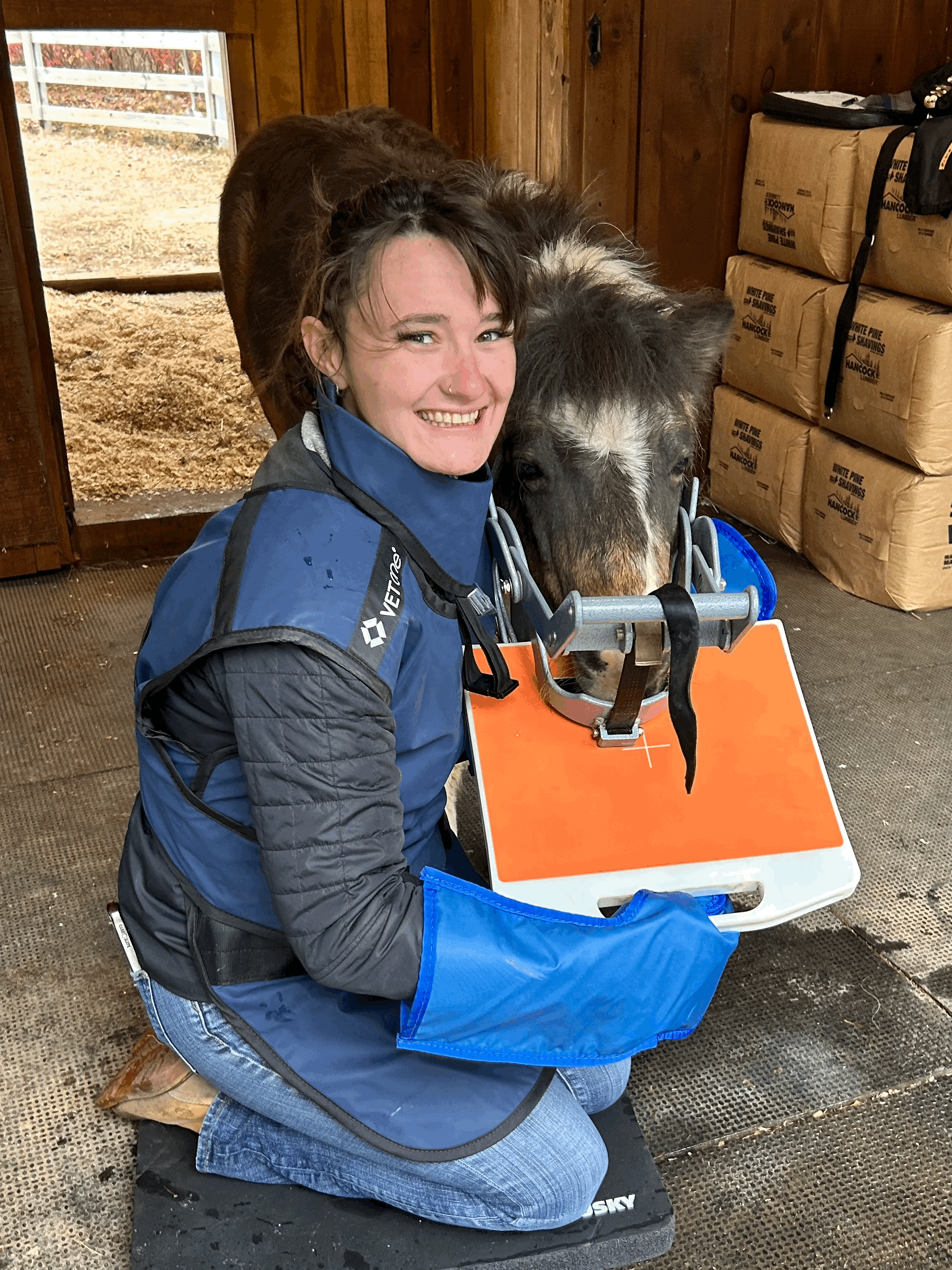 Understanding EOTRH: A Painful but Often Hidden Dental Disease in Horses