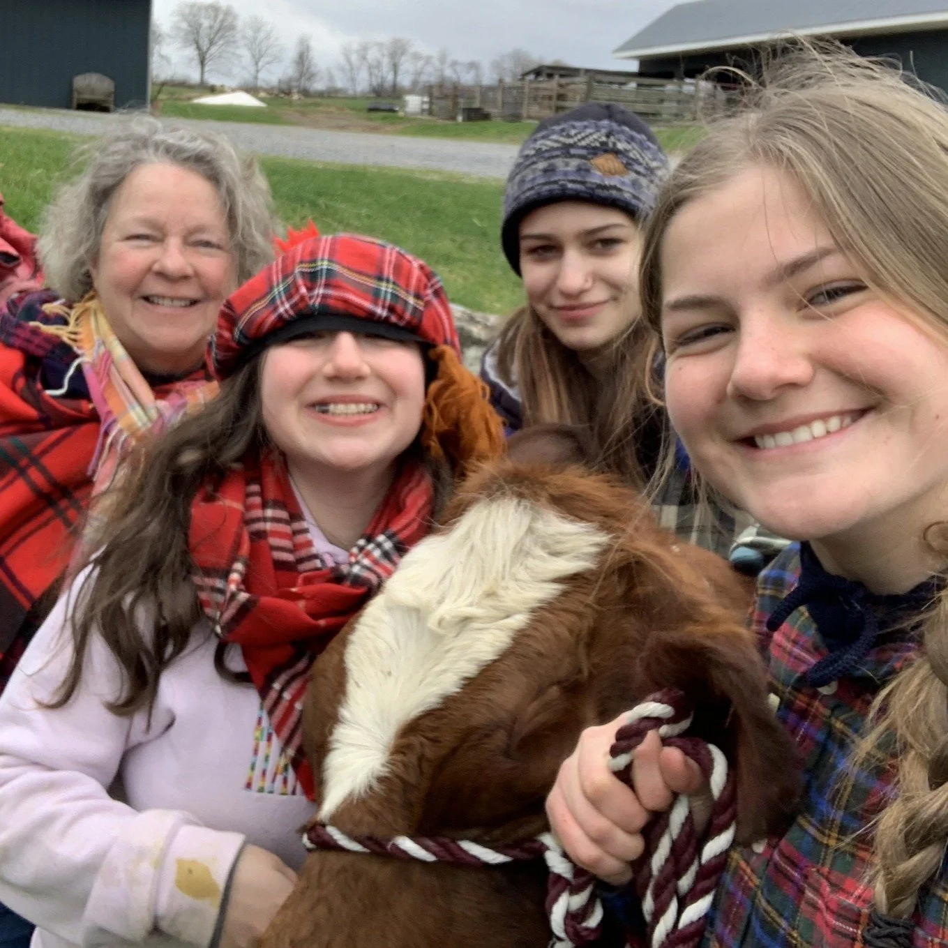 National Tartan Day! How many plaids can you wear? And don't forget an Ayrshire cow!
#hameaufarm #plumbottomayrshires