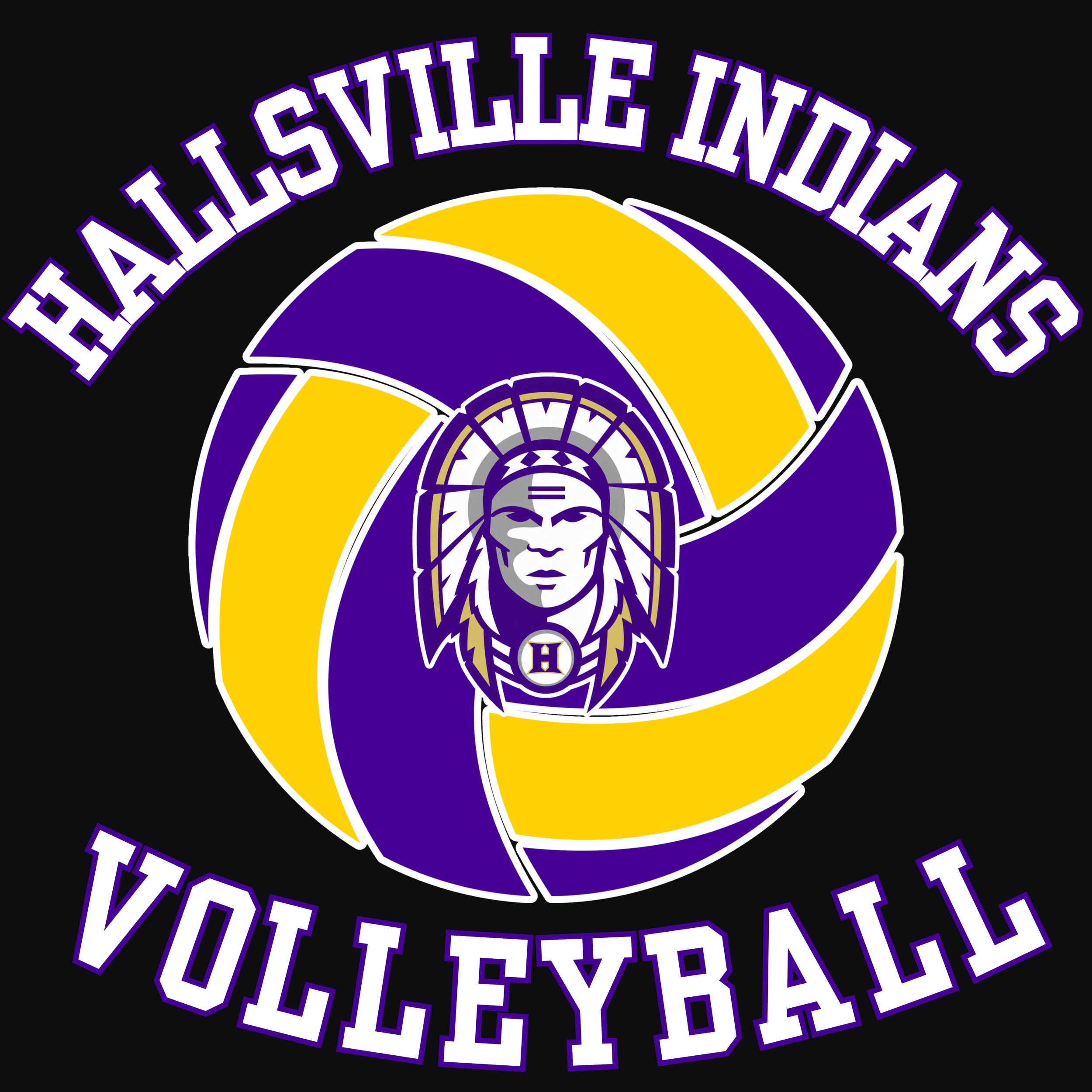 Hallsville Volleyball.png