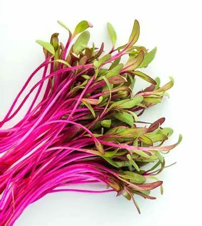 beet.jpg