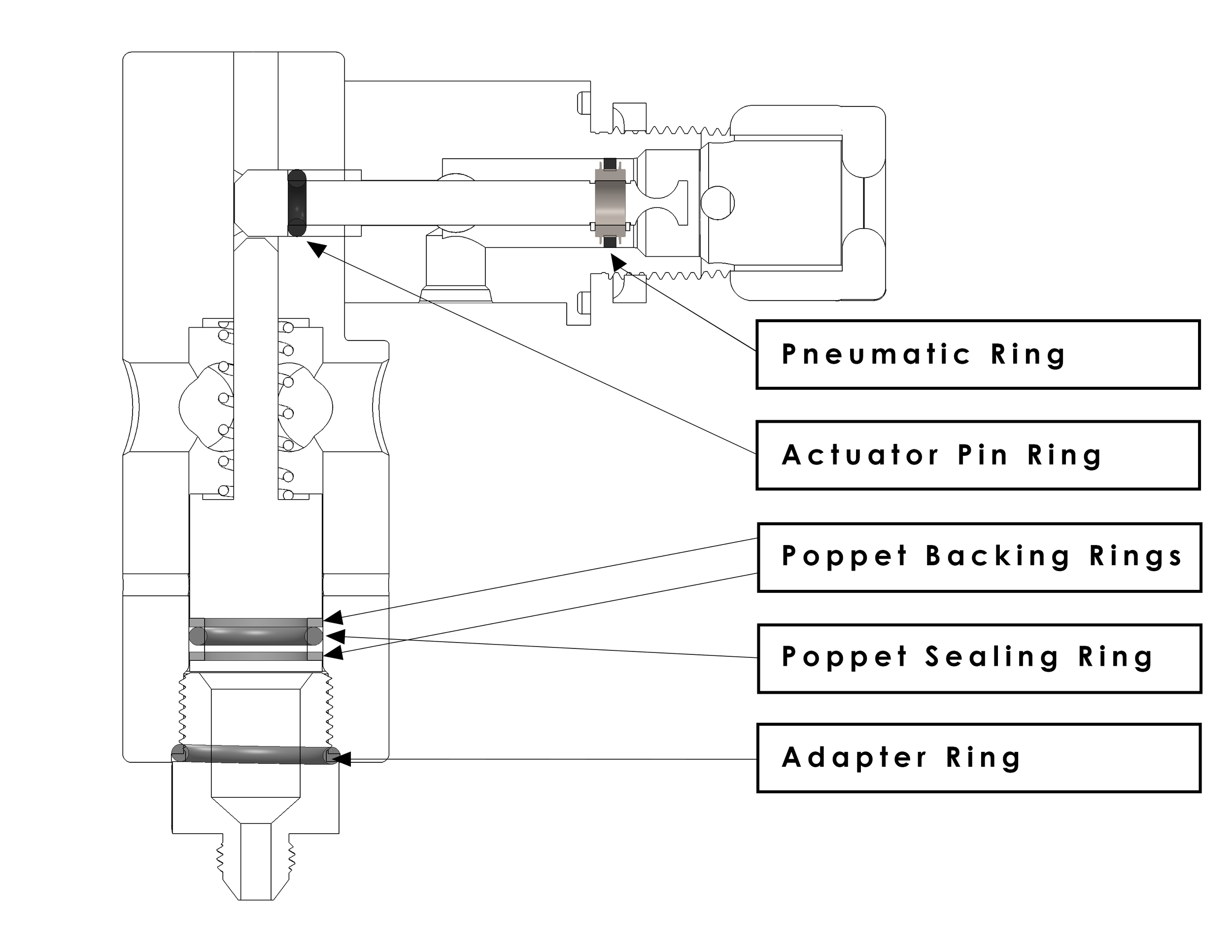 O-Ring Diagram.png