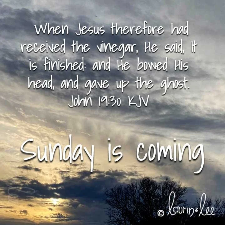 &quot;For God so loved the world that He gave His only begotten Son that whosoever believeth in Him should not perish but have everlasting life.&quot; John 3:16

&quot;Then Pilate therefore took Jesus, and scourged him. And the soldiers platted a cro