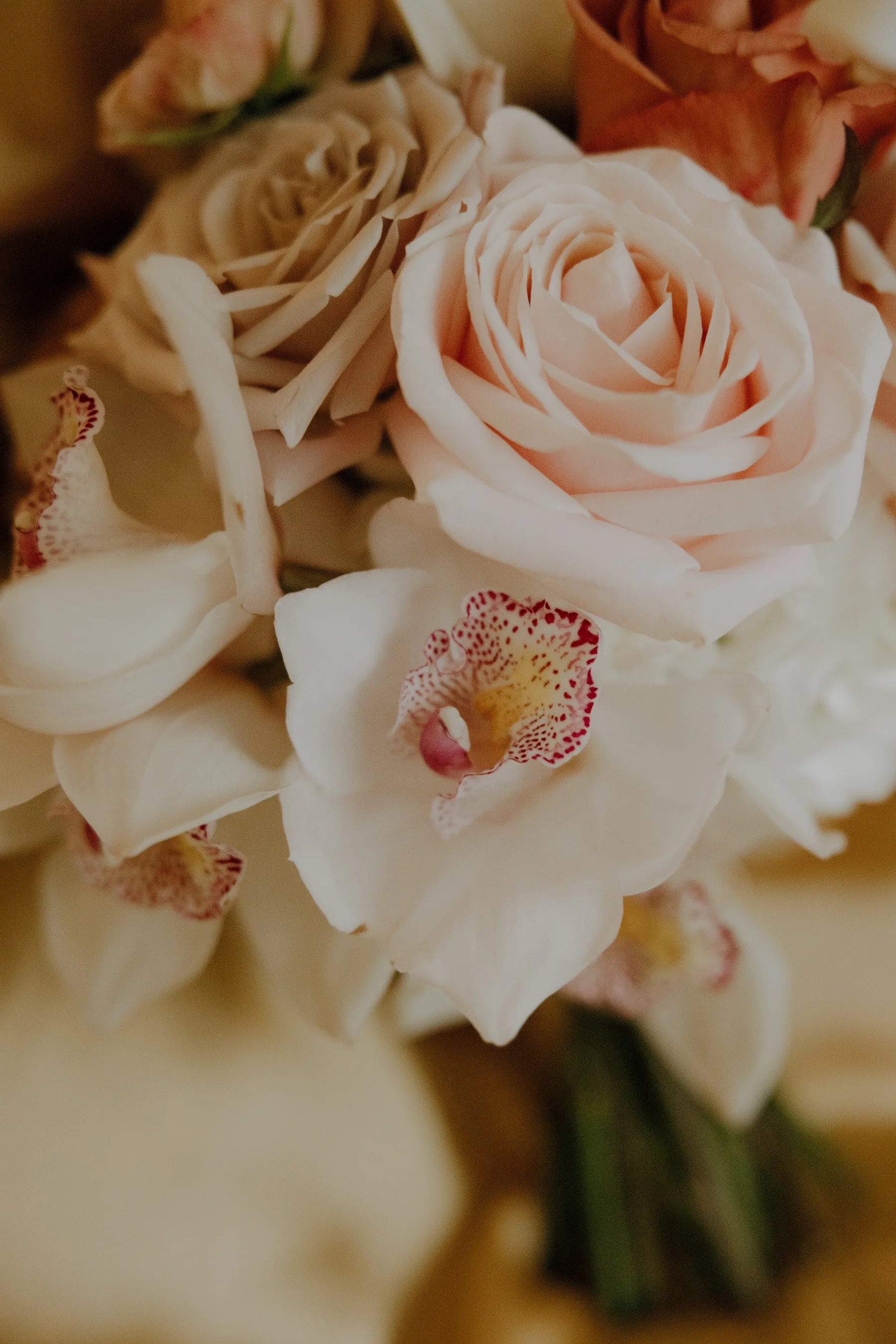 Kate Donaldson Photography---5.jpg