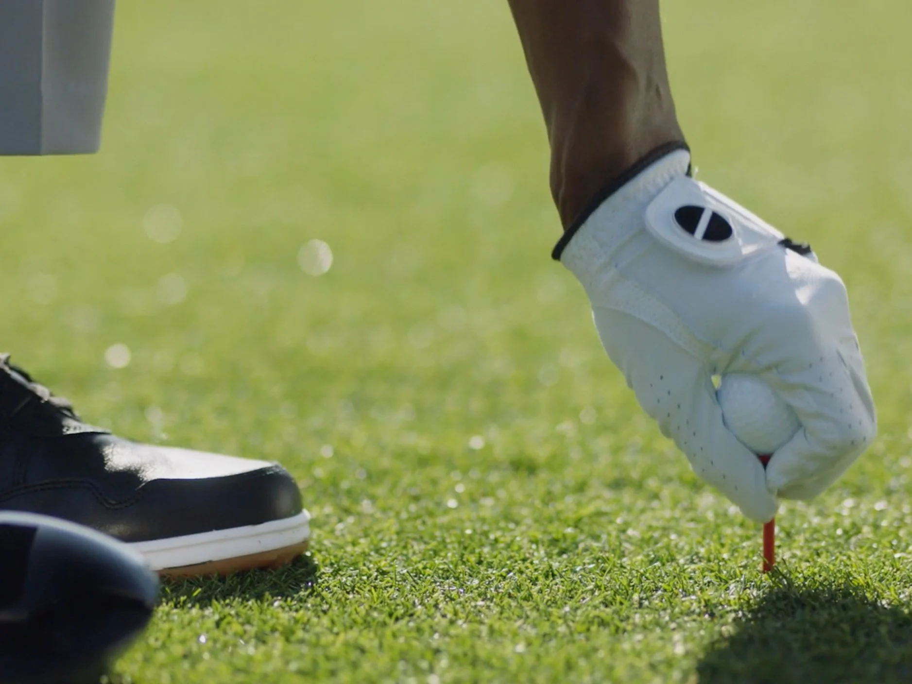 Wells Fargo Small Business