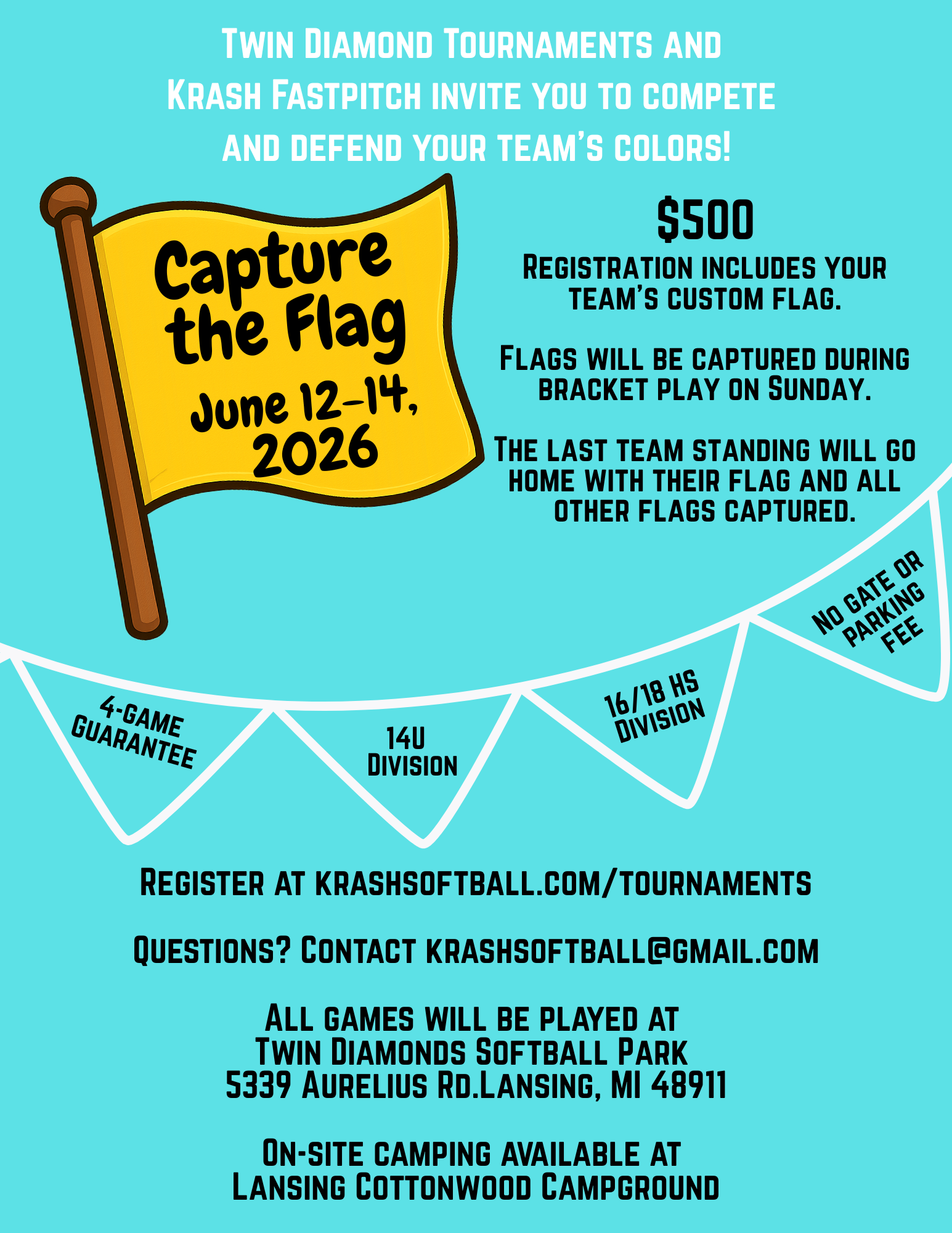 Capture the Flag Graphic.png