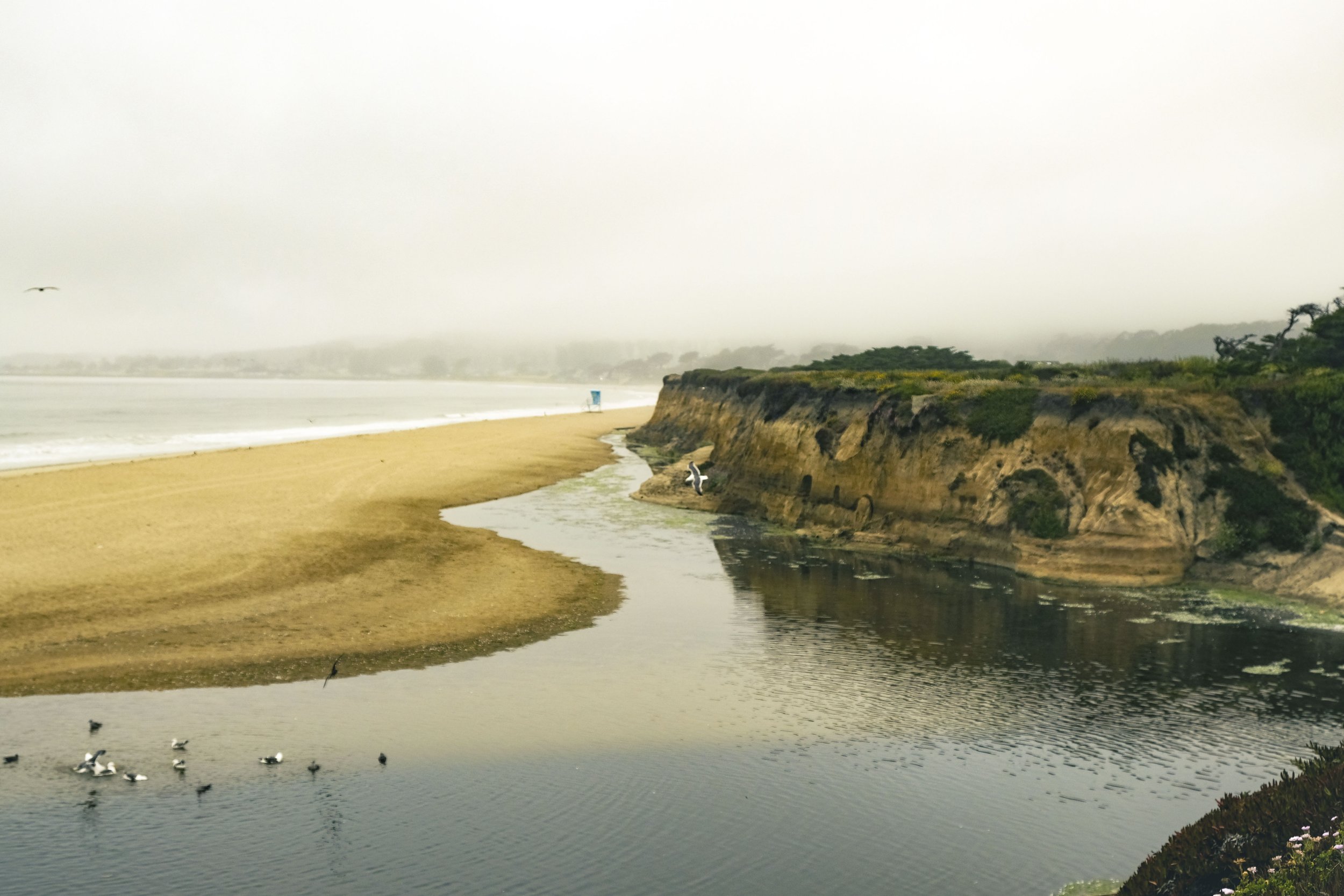 Half Moon Bay Stroll-9666.jpg