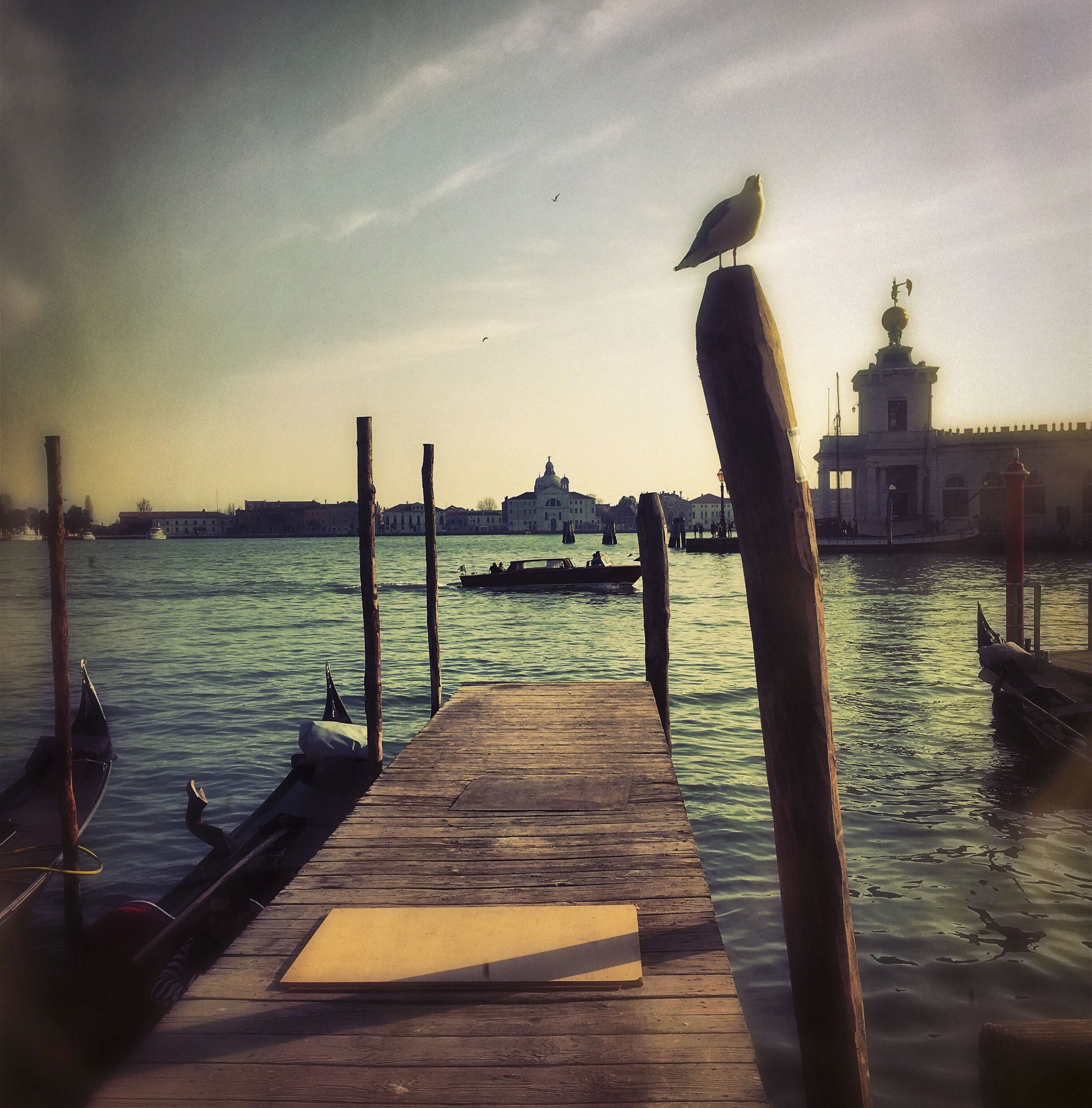 Venice Stroll-1.jpg