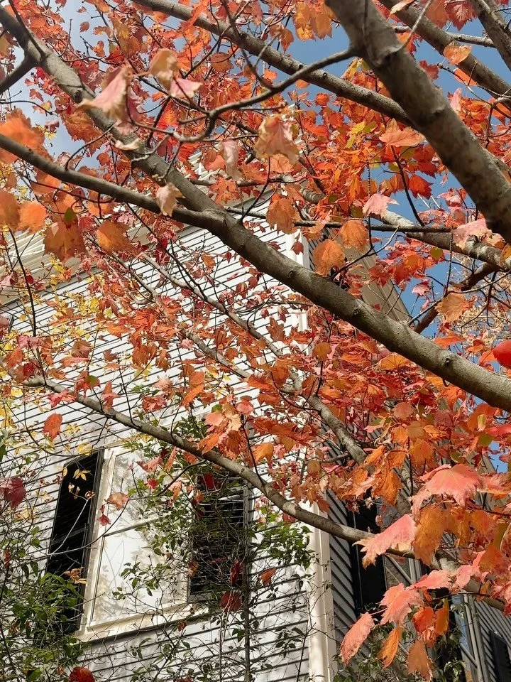 today i learned narcissists fear me and all of a sudden life makes a little more sense !! salem, mass you are adorable, despite your past! 🍂🧙🏽‍♀️🌙 #salemwitchtrials #salemmassachusetts