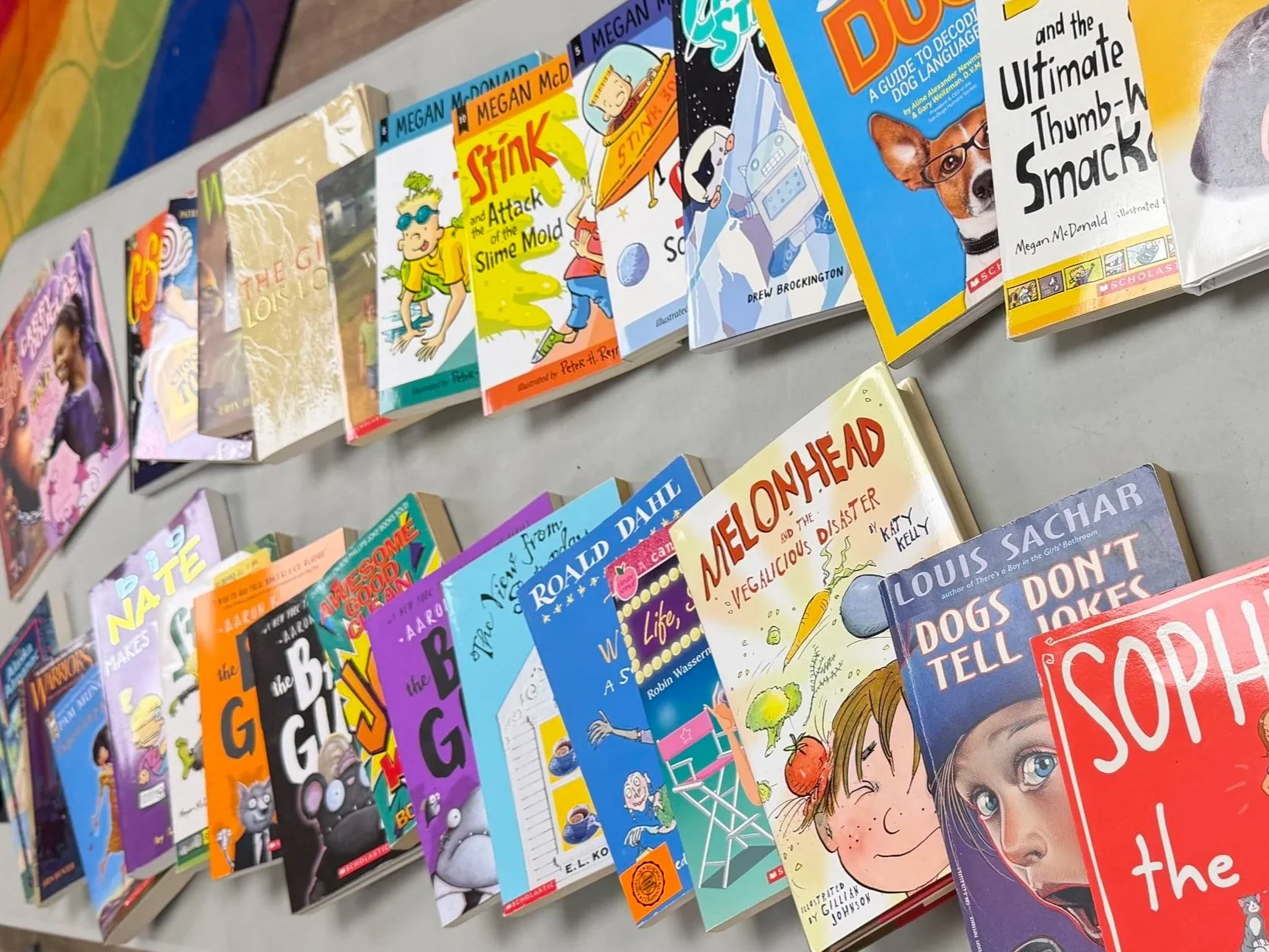 Camp Read Aloud with the YMCA, Calomiris