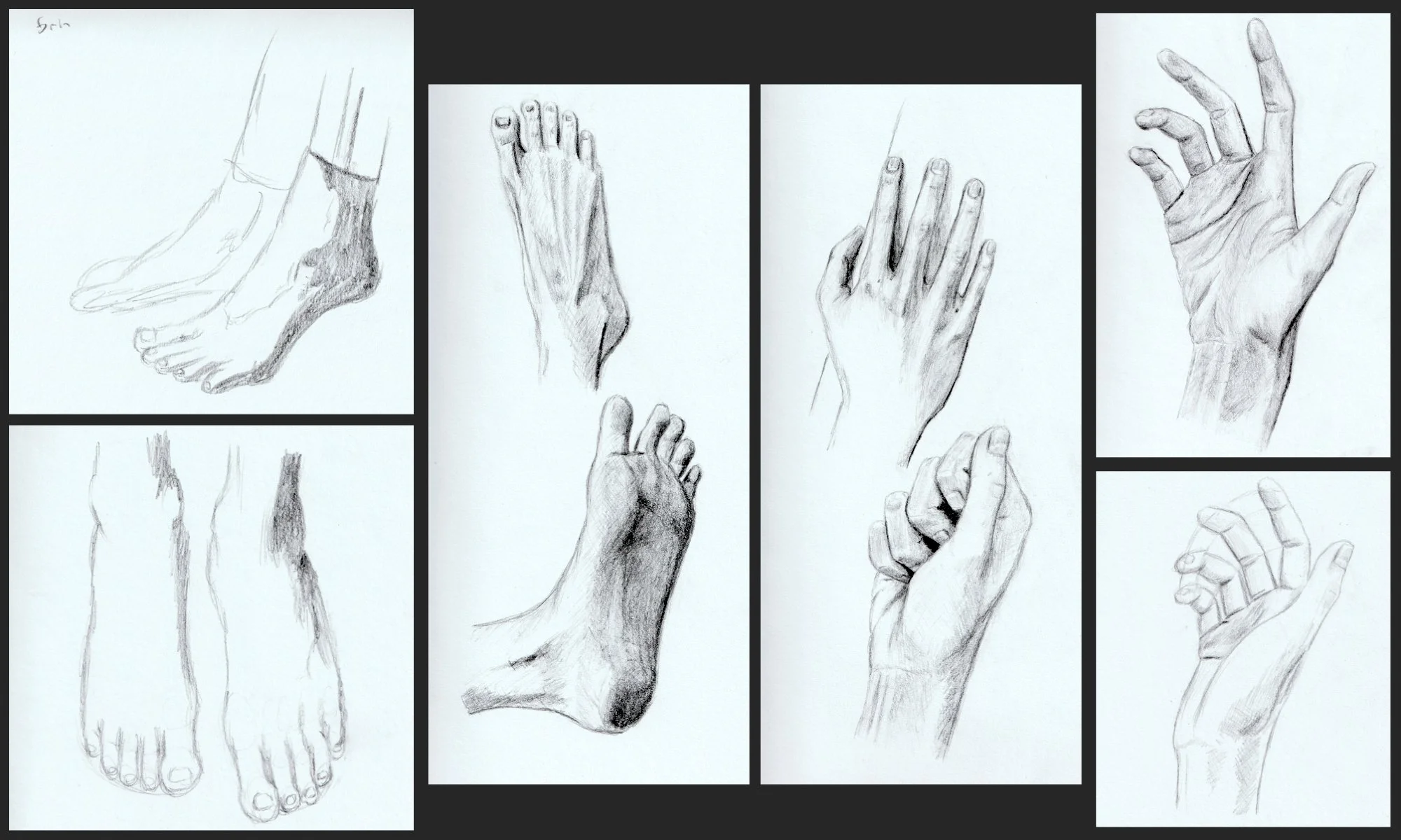 A collage of pencil sketches of human hands and feet in various positions, some detailed and shaded, others simple outlines. Observational life drawing for my application to the BMC program. Fall 2021.