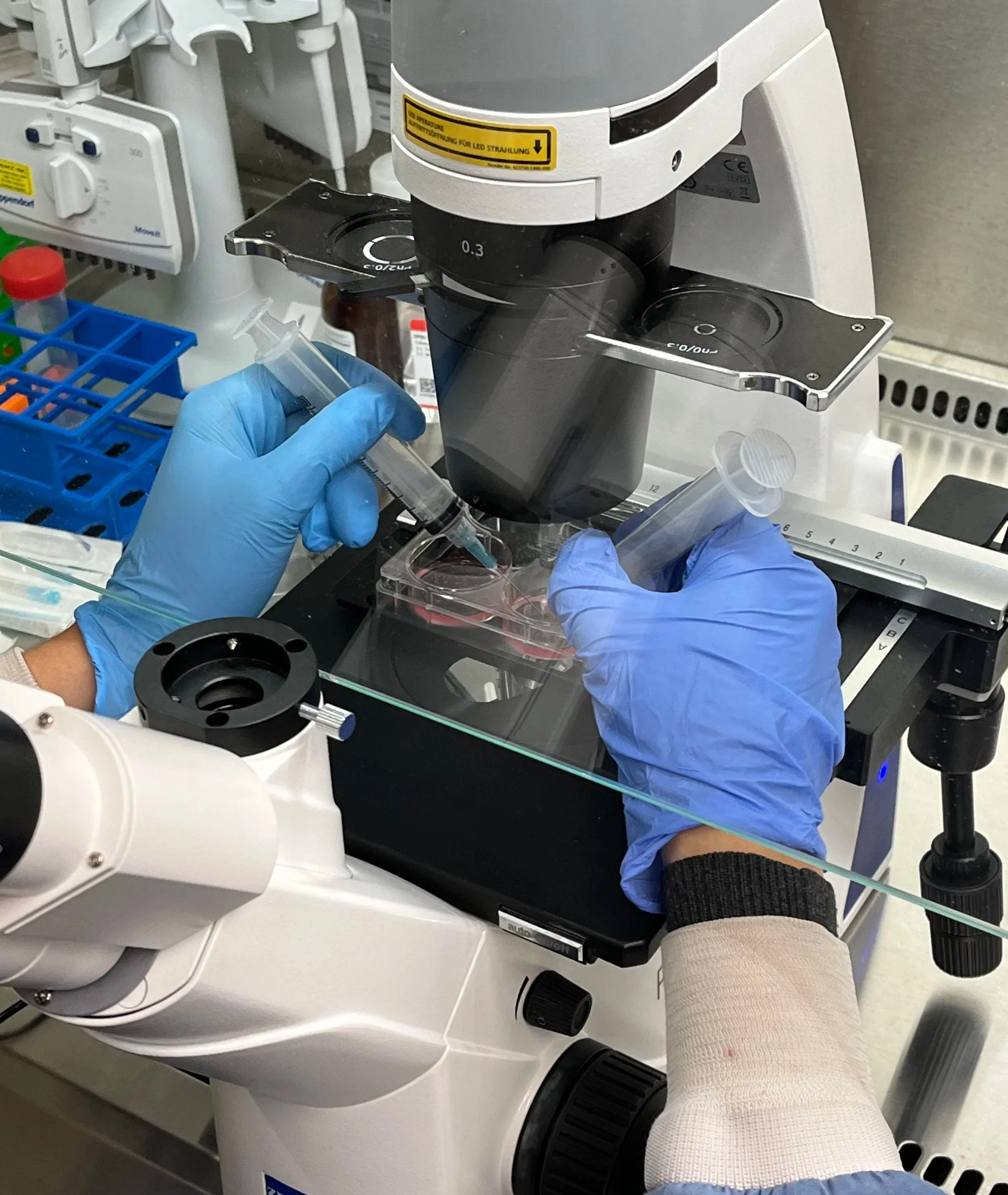 A laboratory technician's gloved hand handling a slide under a microscope in a laboratory setting.