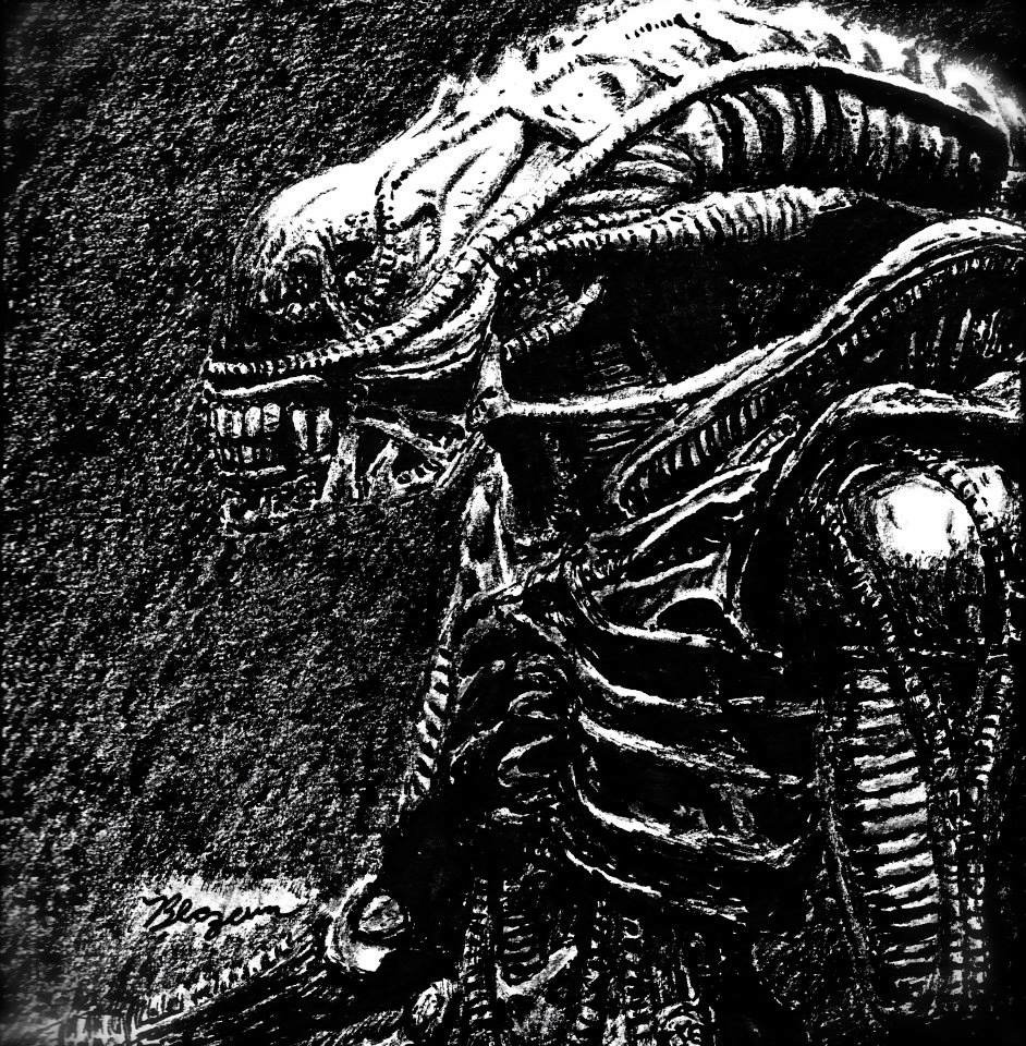 Sharpie illustration of a Xenomorph alien from the 'Alien' movie franchise, focusing on its skull and elongated head done in Fall 2014. These illustrations were among many I did in my free time. I would pose figurines and light the figures to create 