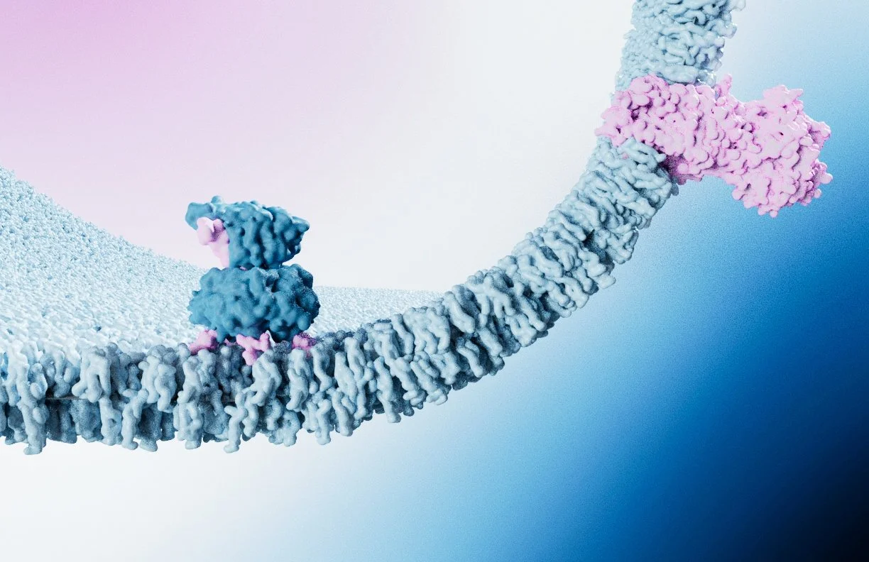 Concept render of cellular and molecular piece on the mechanism of the cholera toxin done for molecular visualization course during the BMC program. Summer 2023.