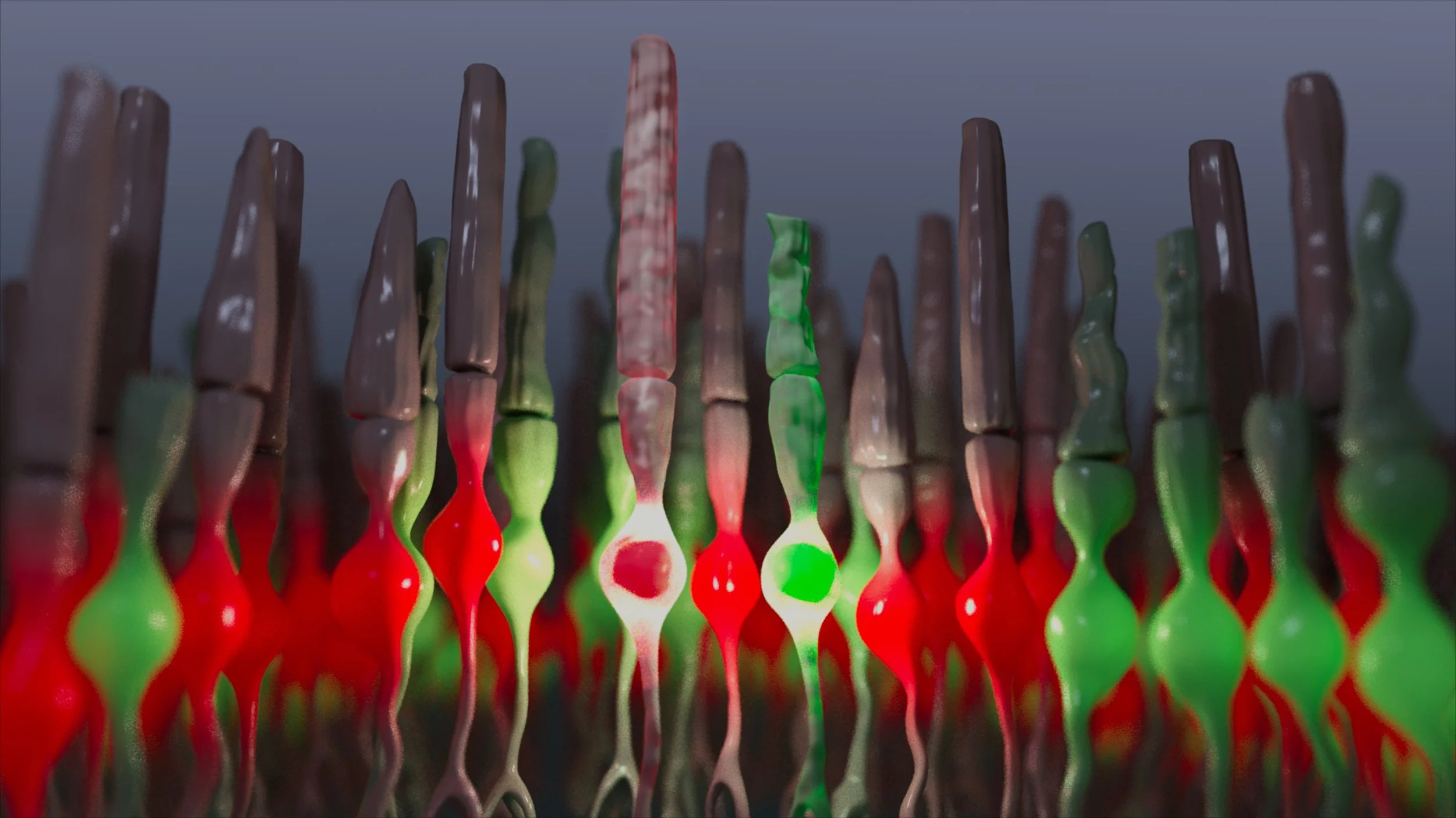Photoreceptor Shot v002.jpg