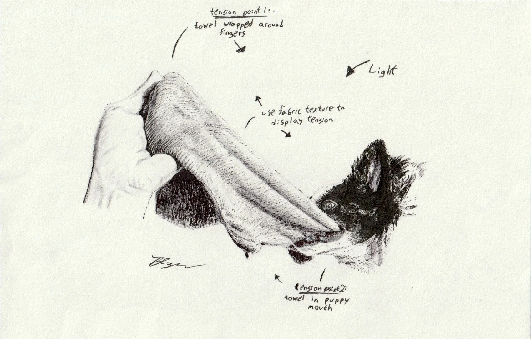 Hand-drawn sketch of a puppy with a towel wrapped around its fingers, appearing to display a tension point. The puppy's head is visible, showing signs of a towel in the puppy's mouth. Notes on the sketch mention fabric texture, tension points, and li