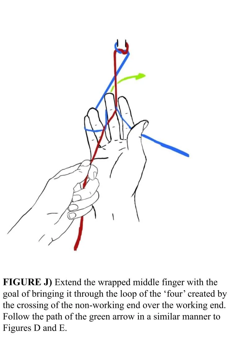 Line drawing of a hand with fingers extended, demonstrating a knot-tying technique with red and blue strings, and green arrows indicating the movement directions. Frame from knot tying exercise done during the BMC program. Procreate. Fall 2022.