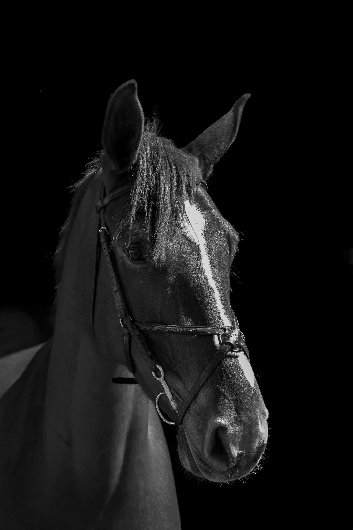 Milano Test Image-1.jpg