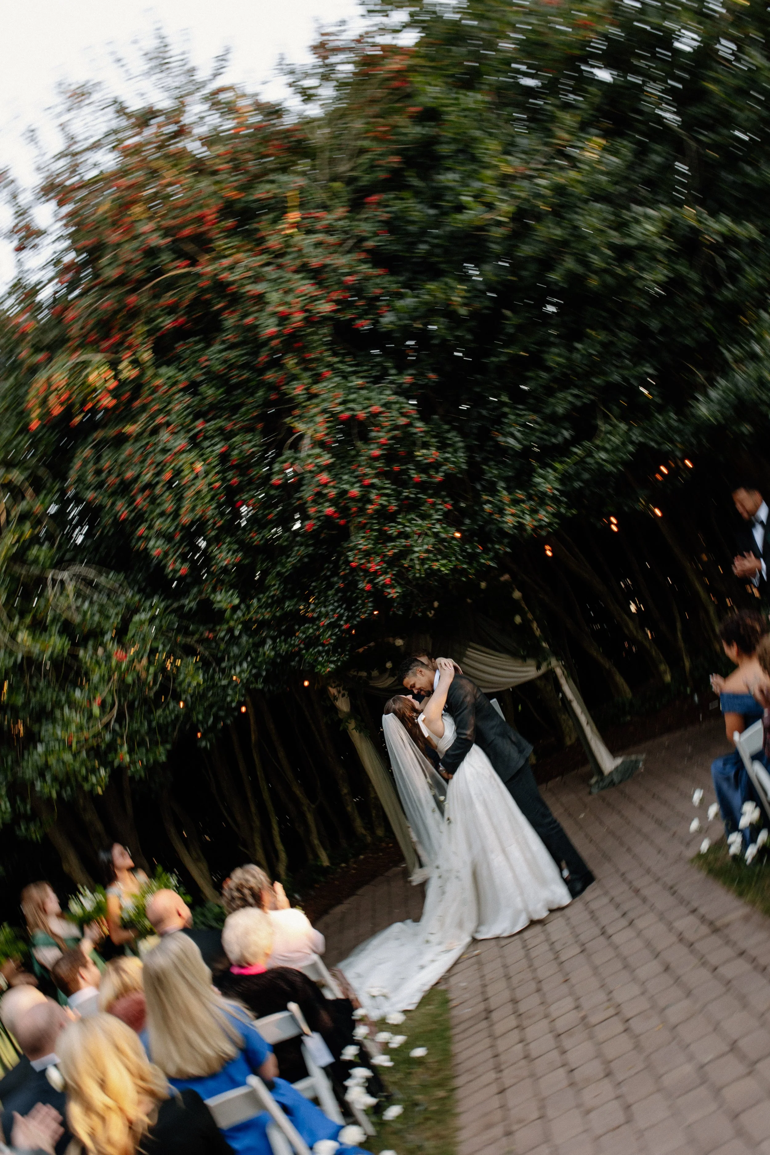 A wedding ceremony outdoors under a large, leafy canopy at dusk. The bride and groom are embracing and kissing, with guests seated nearby watching.
