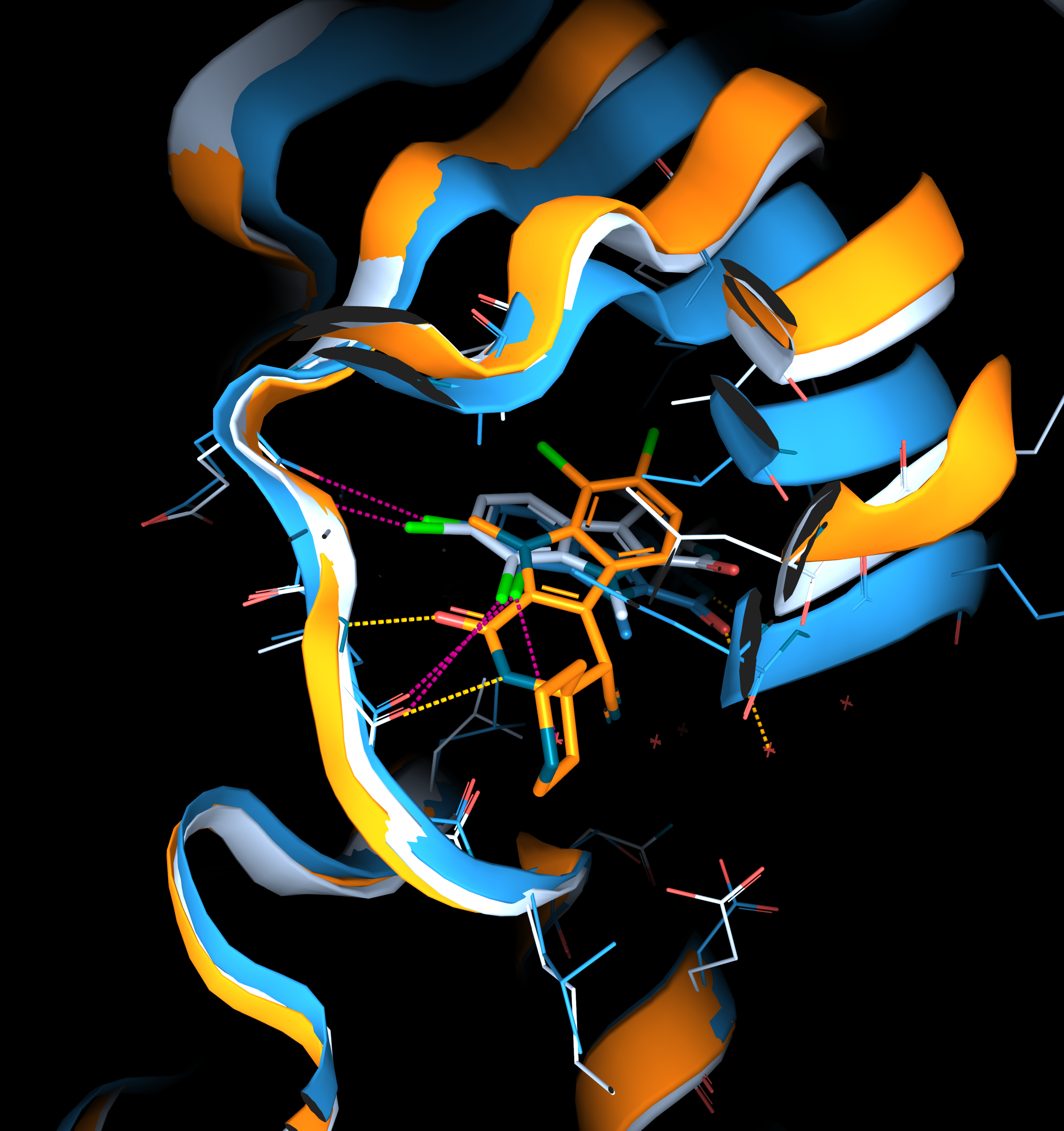 Understanding selectivity of CLK kinase inhibitors: structural insights with 3decision®