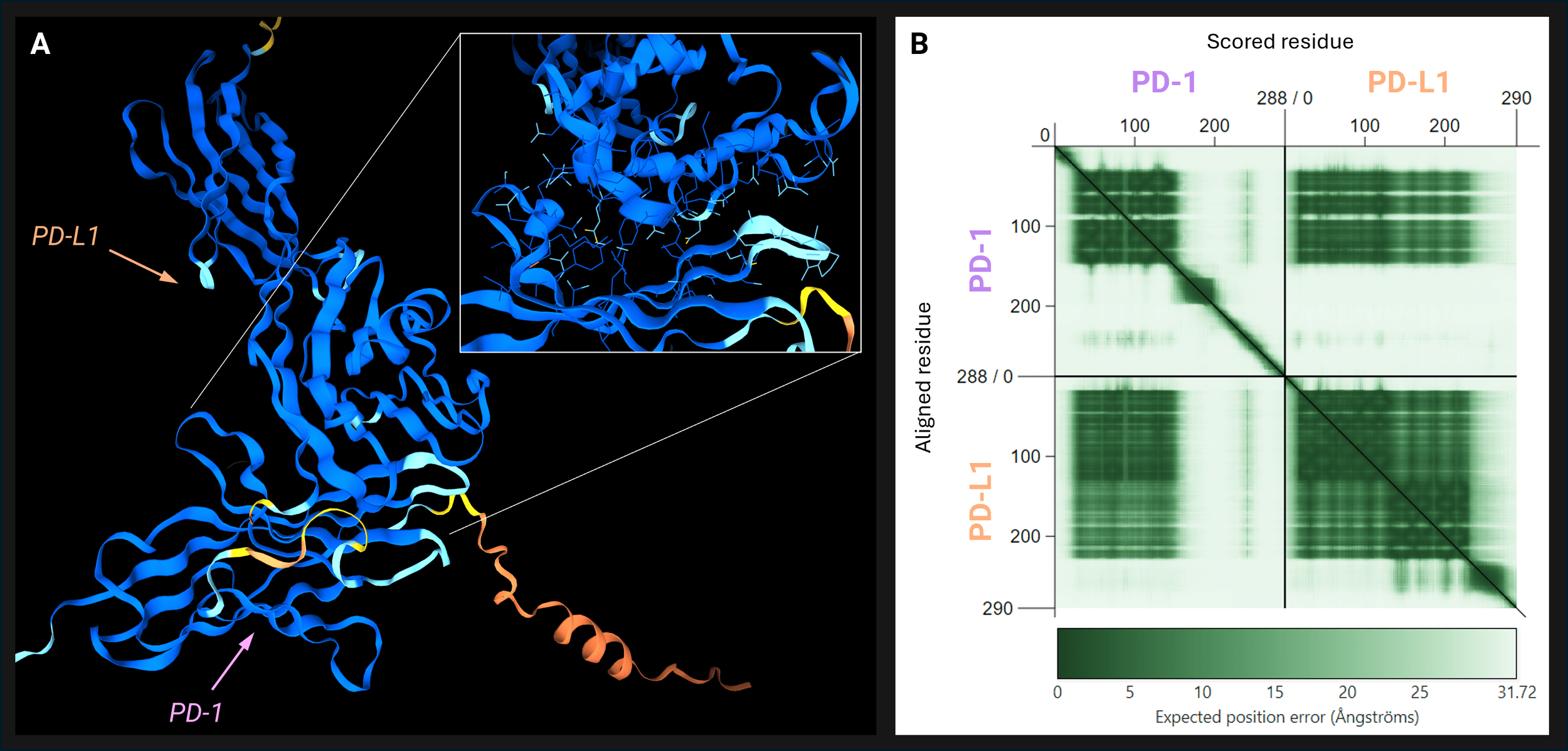 Evaluating protein-protein interactions in AF3 predicted complexes: a ...