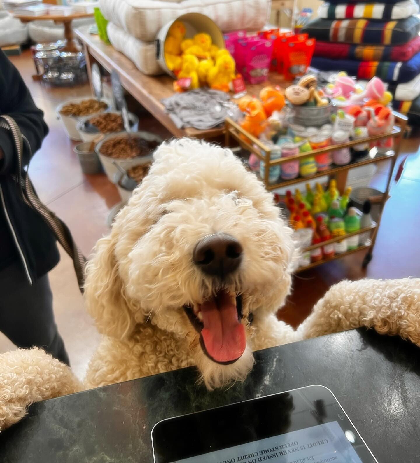 &ldquo;Hi!!! I love everything in this store!&rdquo; ~Tahoe