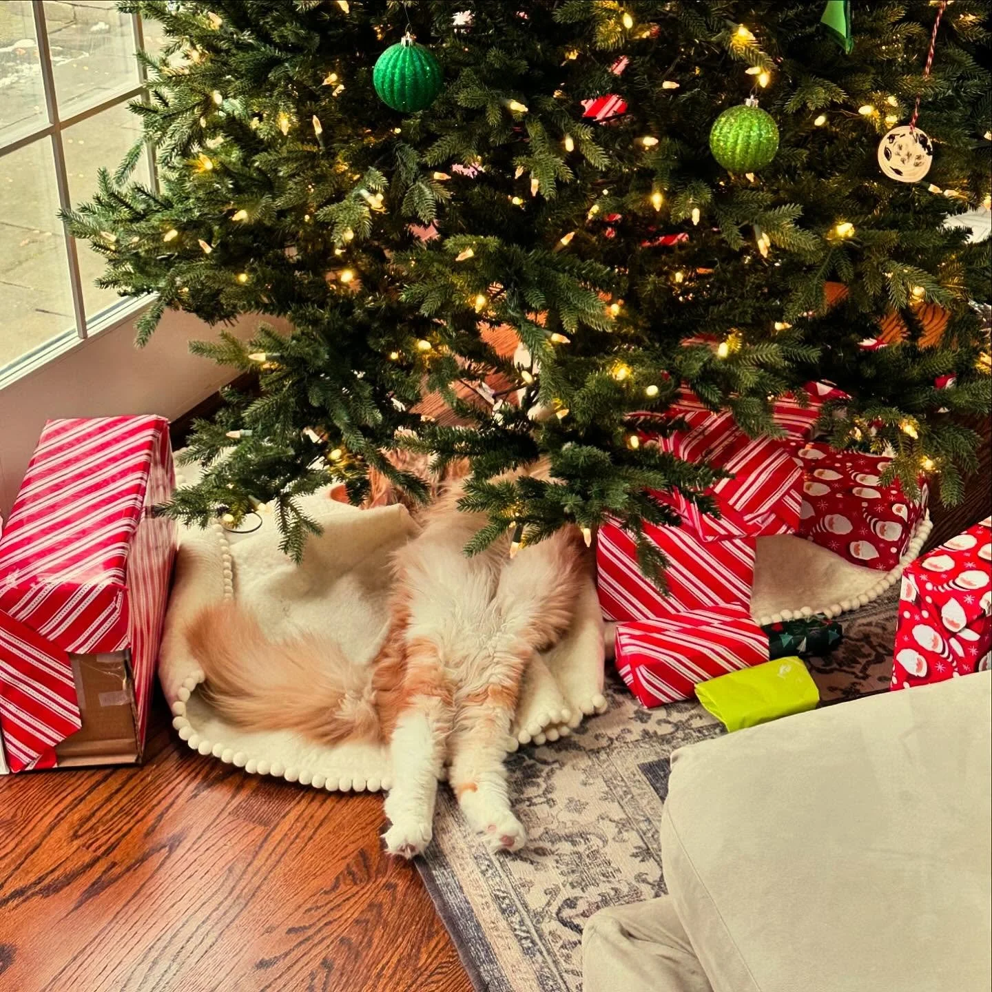 How we feel after closing the shops the day before Christmas!  Have a wonderful holiday and we will see you all after the big day. 🎄🎁⛄️