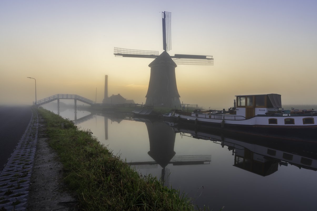 Morning Fog Photography