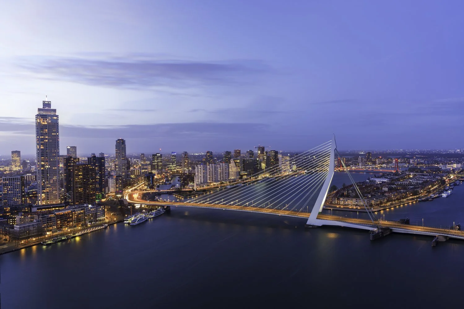 Rotterdam_Blue_Hour-1.jpg