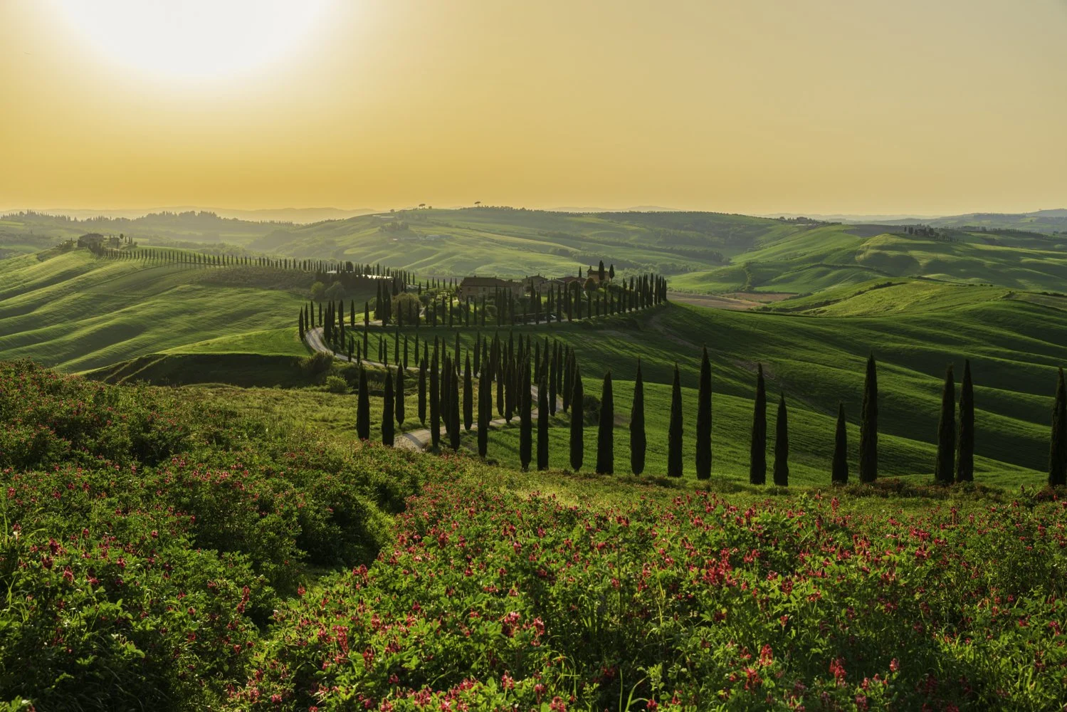 20240429_Toscany_Crete Senesi vista_001.jpg