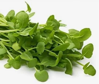 watercress 3.JPG