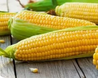 corn 2.JPG