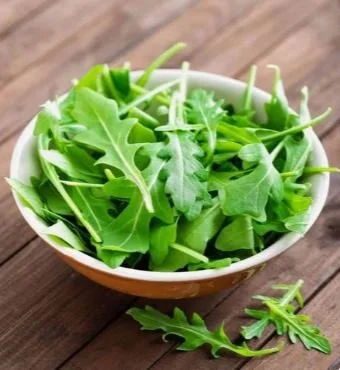 Arugula photo.JPG
