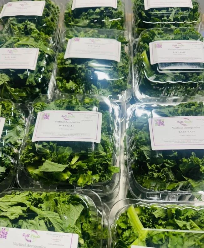 baby kale.JPG